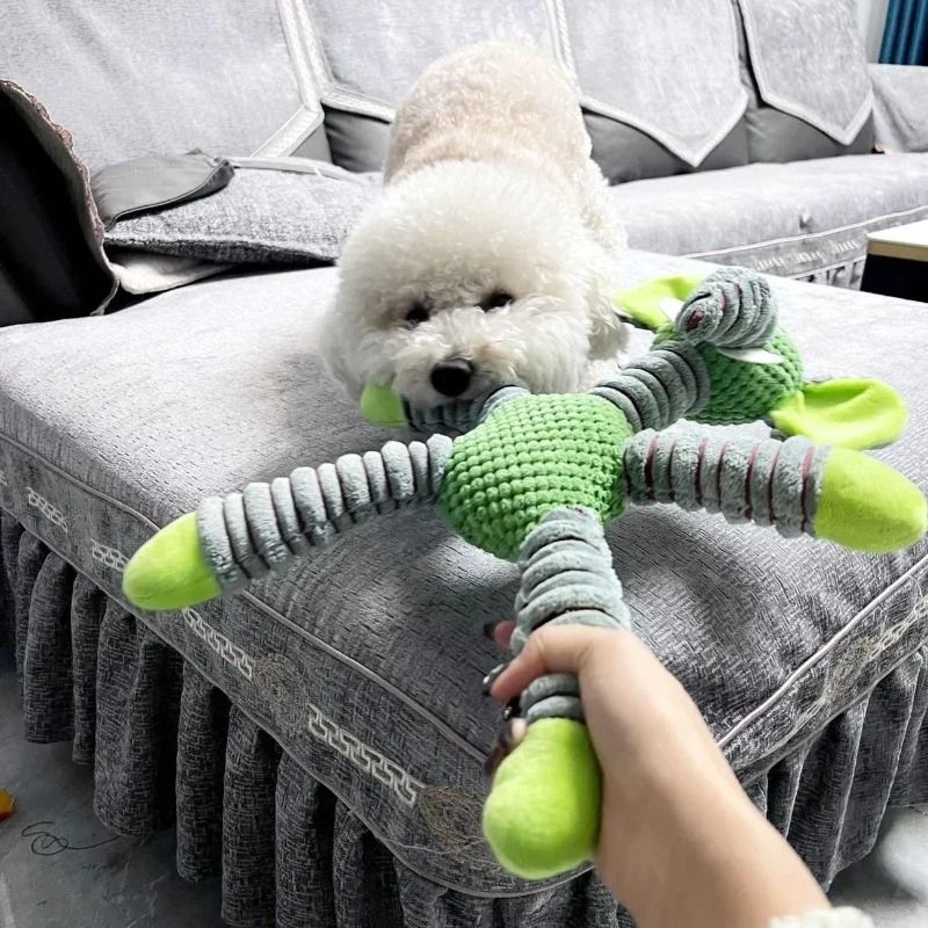 indestructible plush dog chew toy for training comfort and play