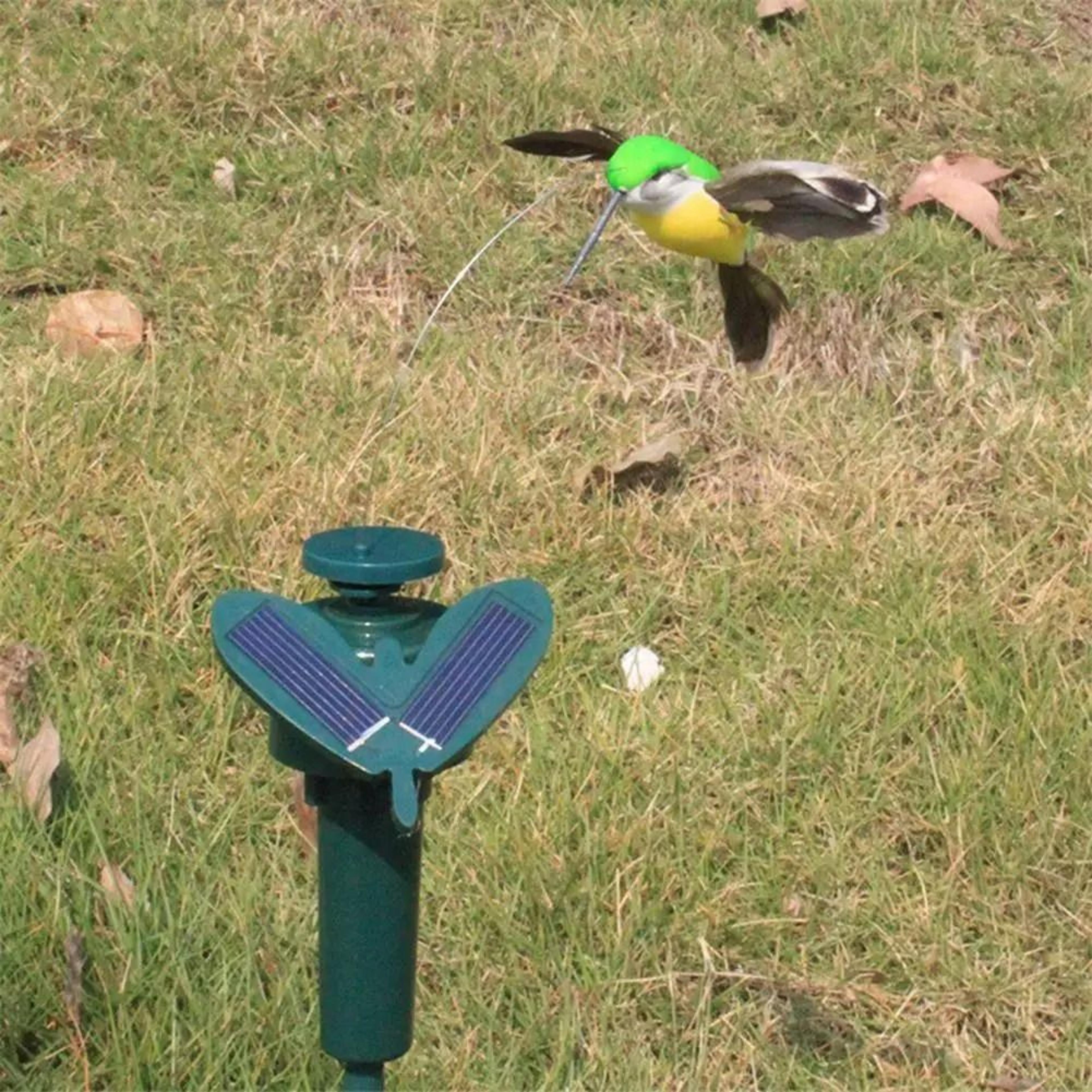 solar powered flying hummingbird garden decor