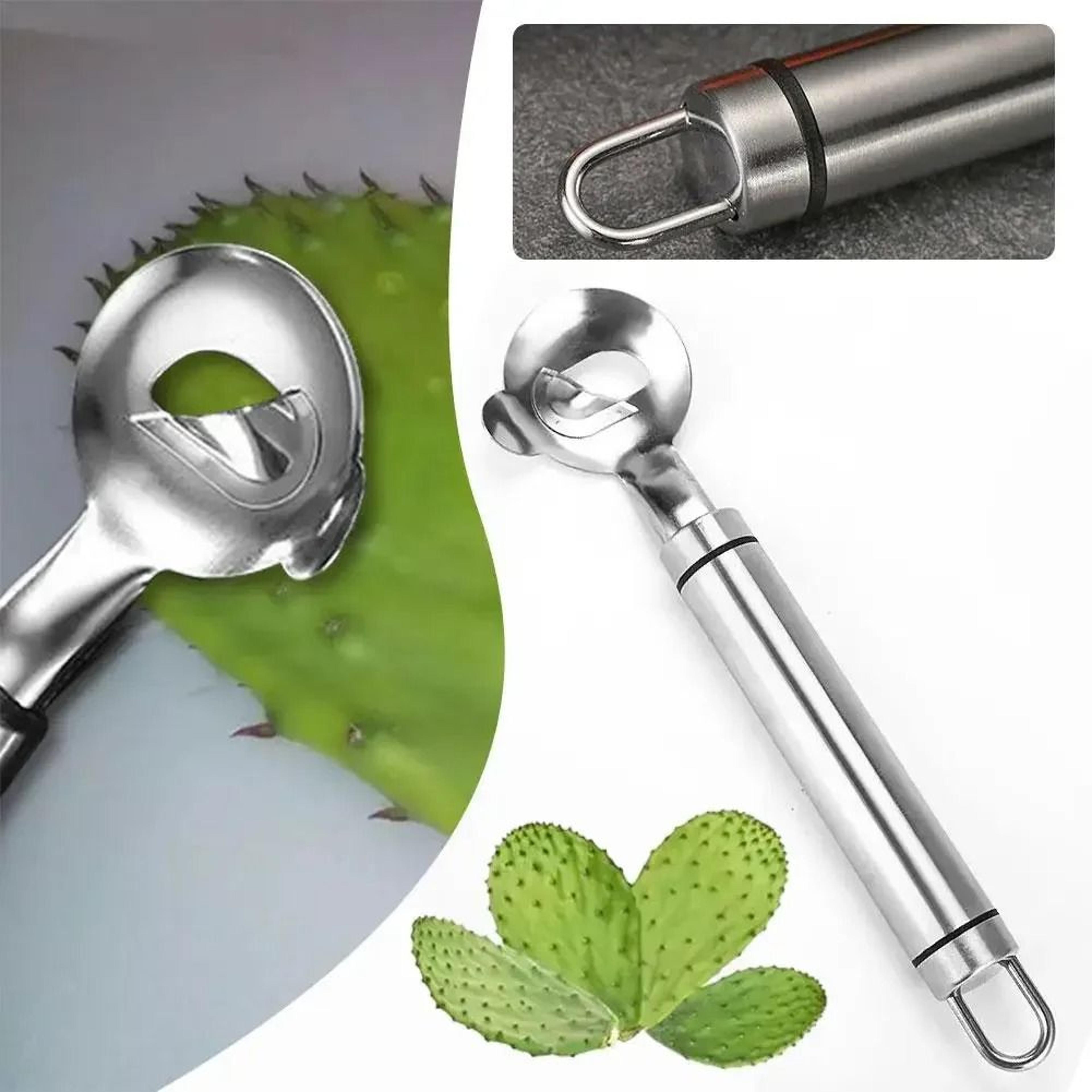 stainless steel cactus peeler spoon