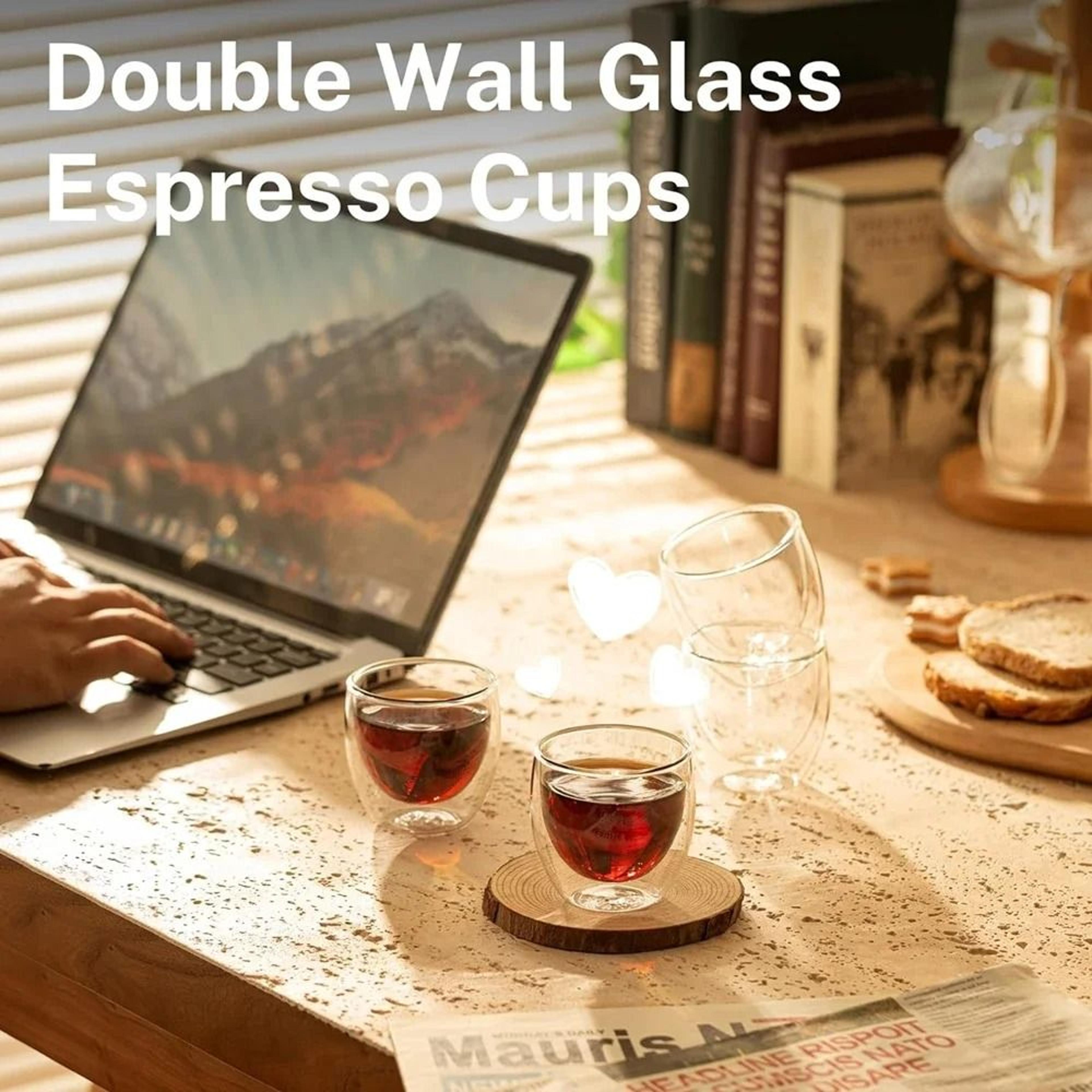 6 piece insulated double wall glass cup set