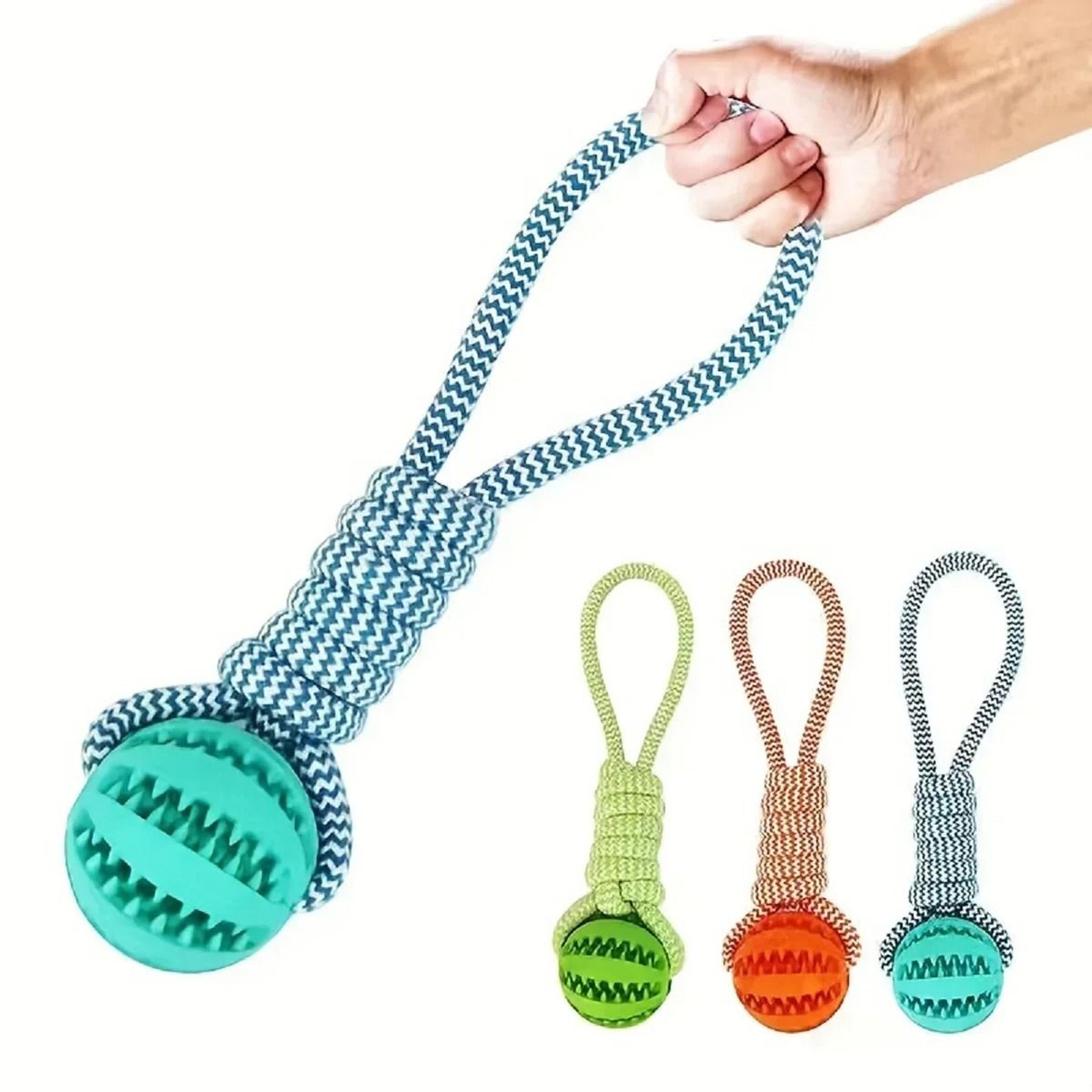 interactive rubber dog treat ball with rope