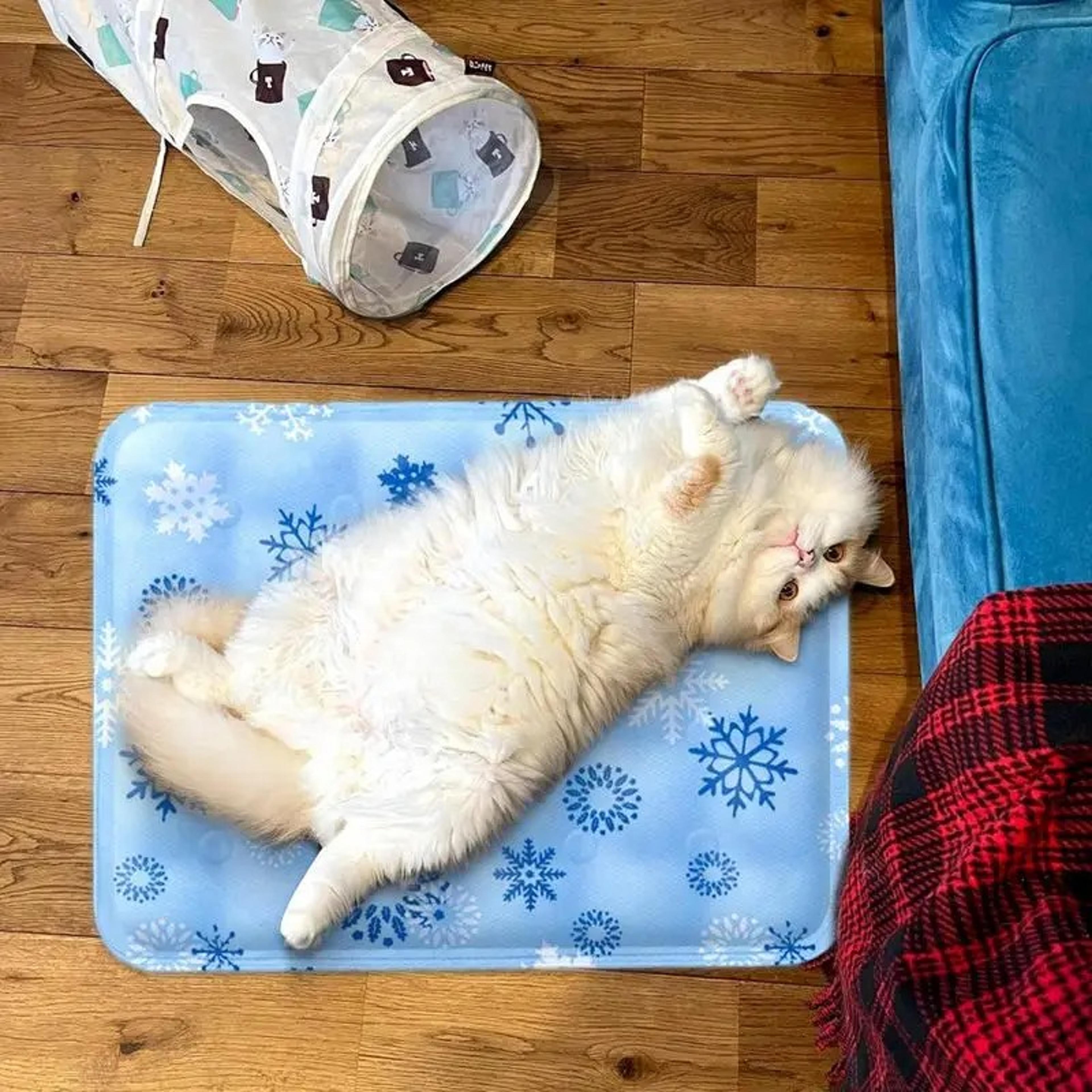 comfort cooling pet bed for dogs & cat