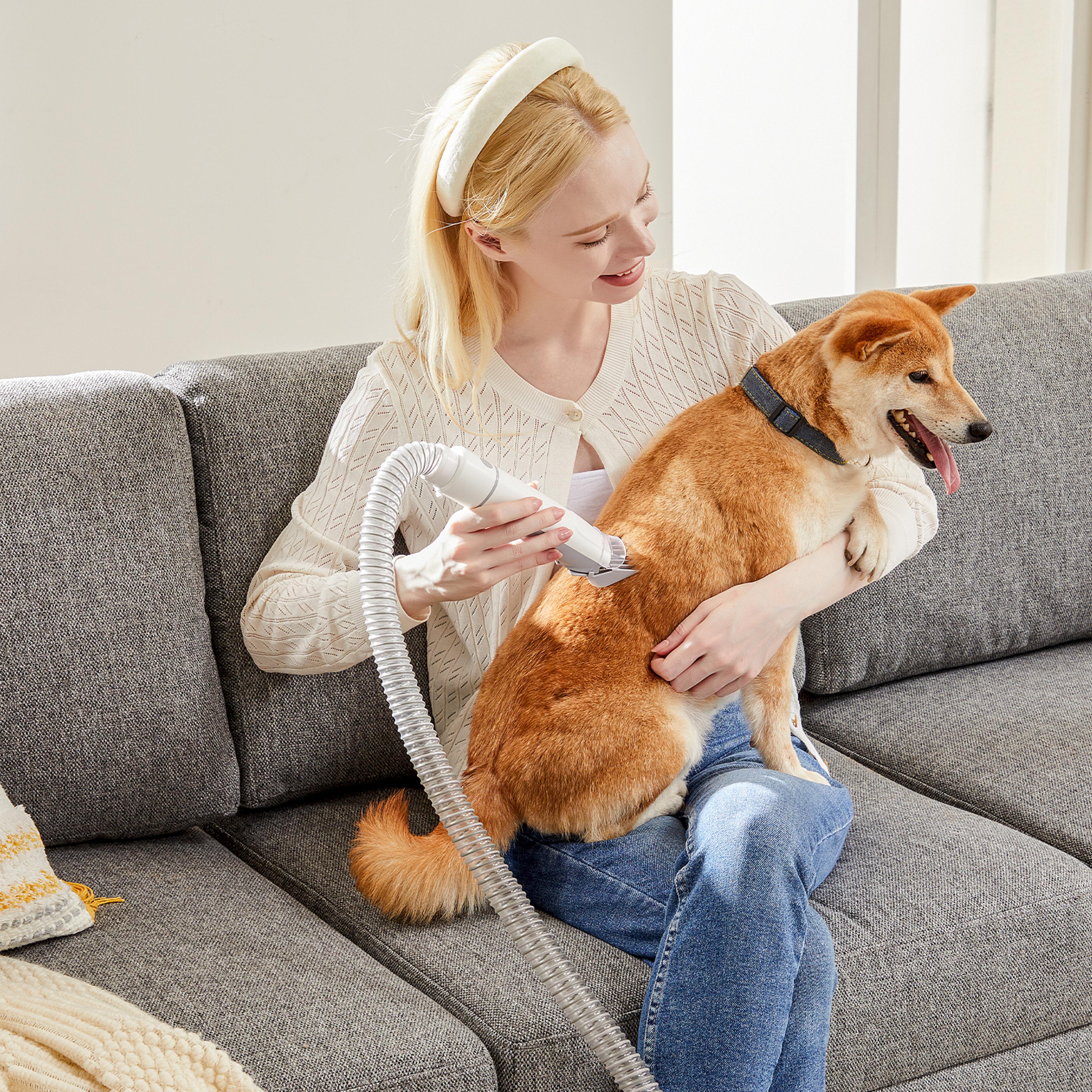 professional pet grooming vacuum kit with dog grooming clippers & 5 grooming tools