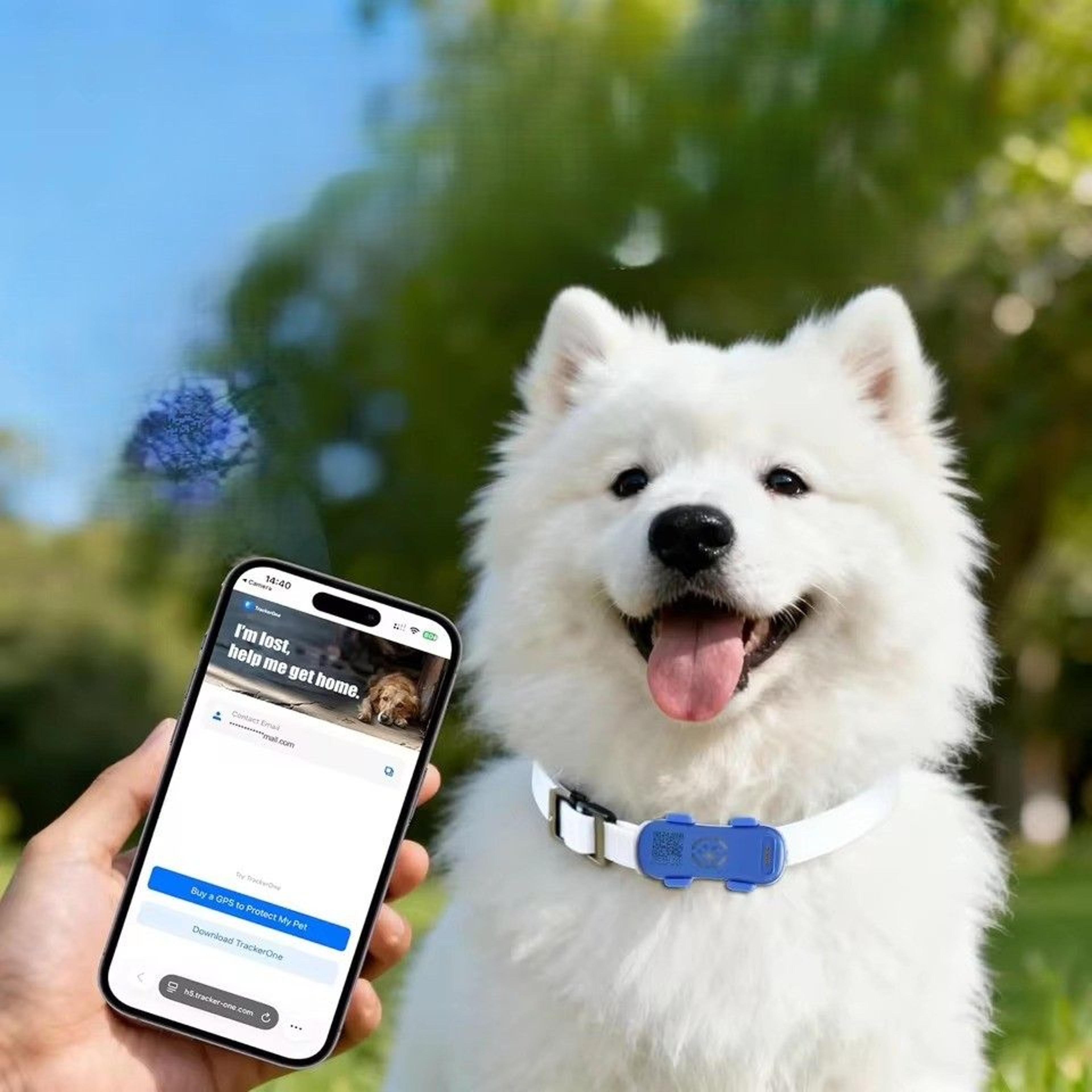 guardian track gps pet tracker with real time locator for dogs & cats