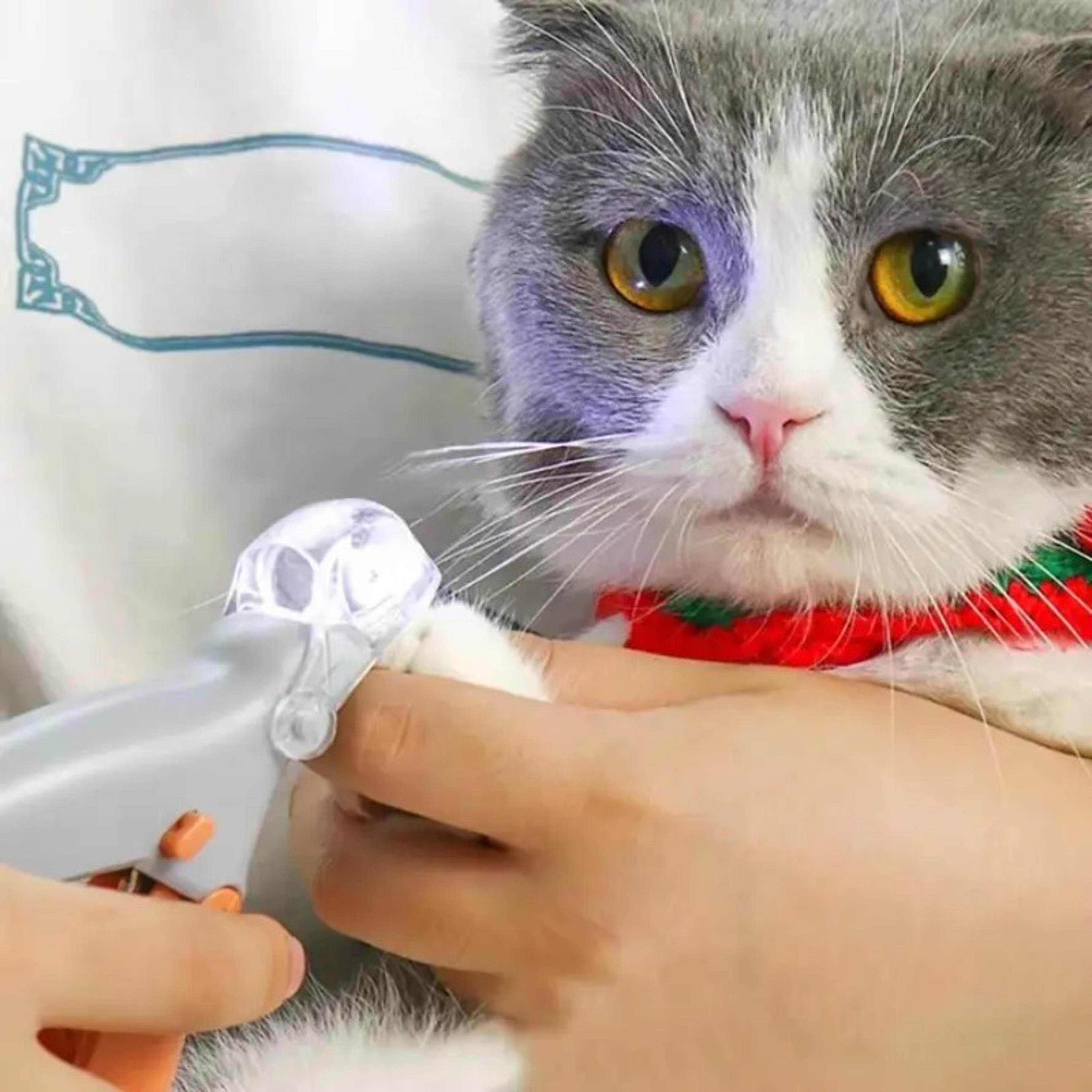 professional led pet nail clipper for dogs & cats safe precision grooming tool