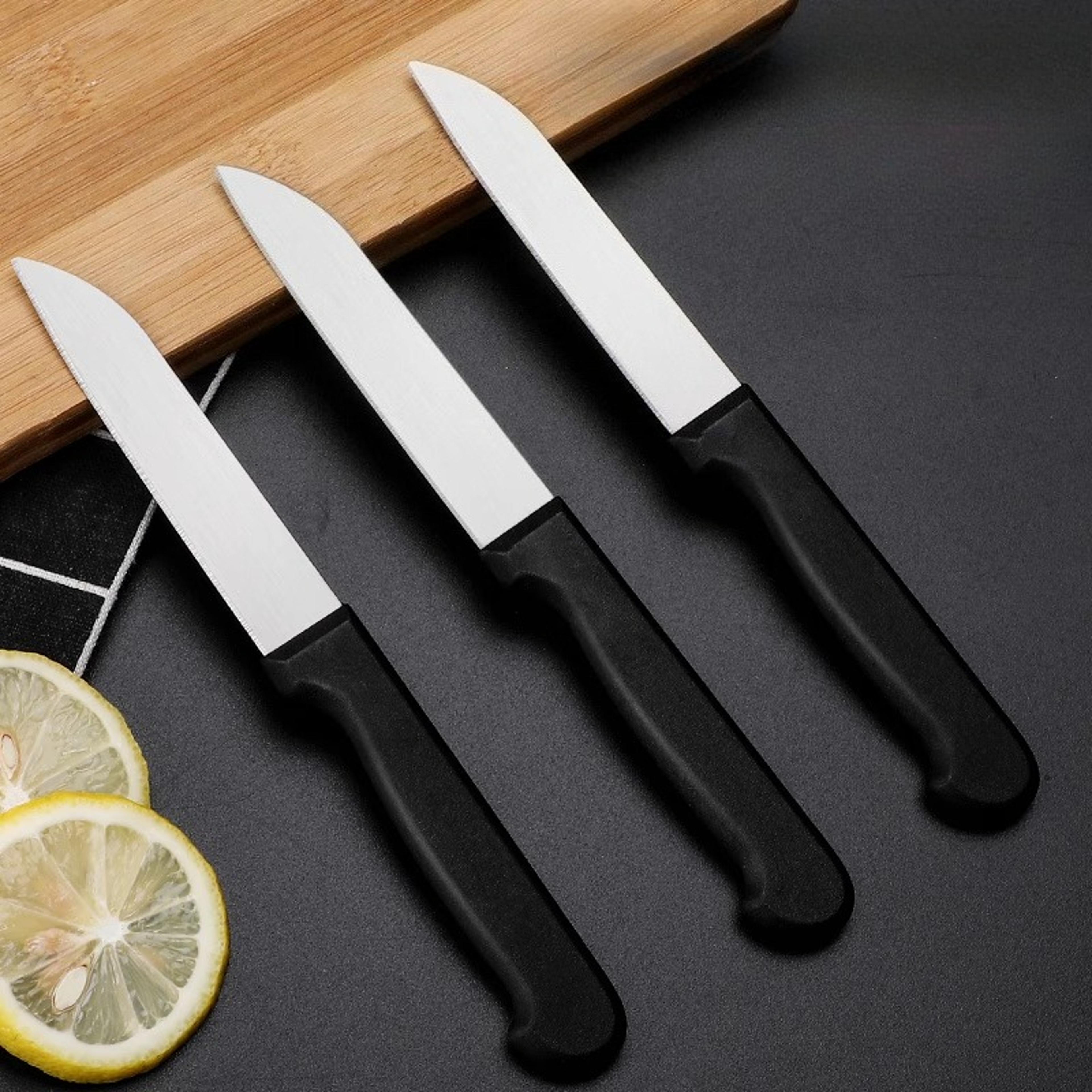 portable stainless steel fruit knife for dorm kitchen and everyday prep