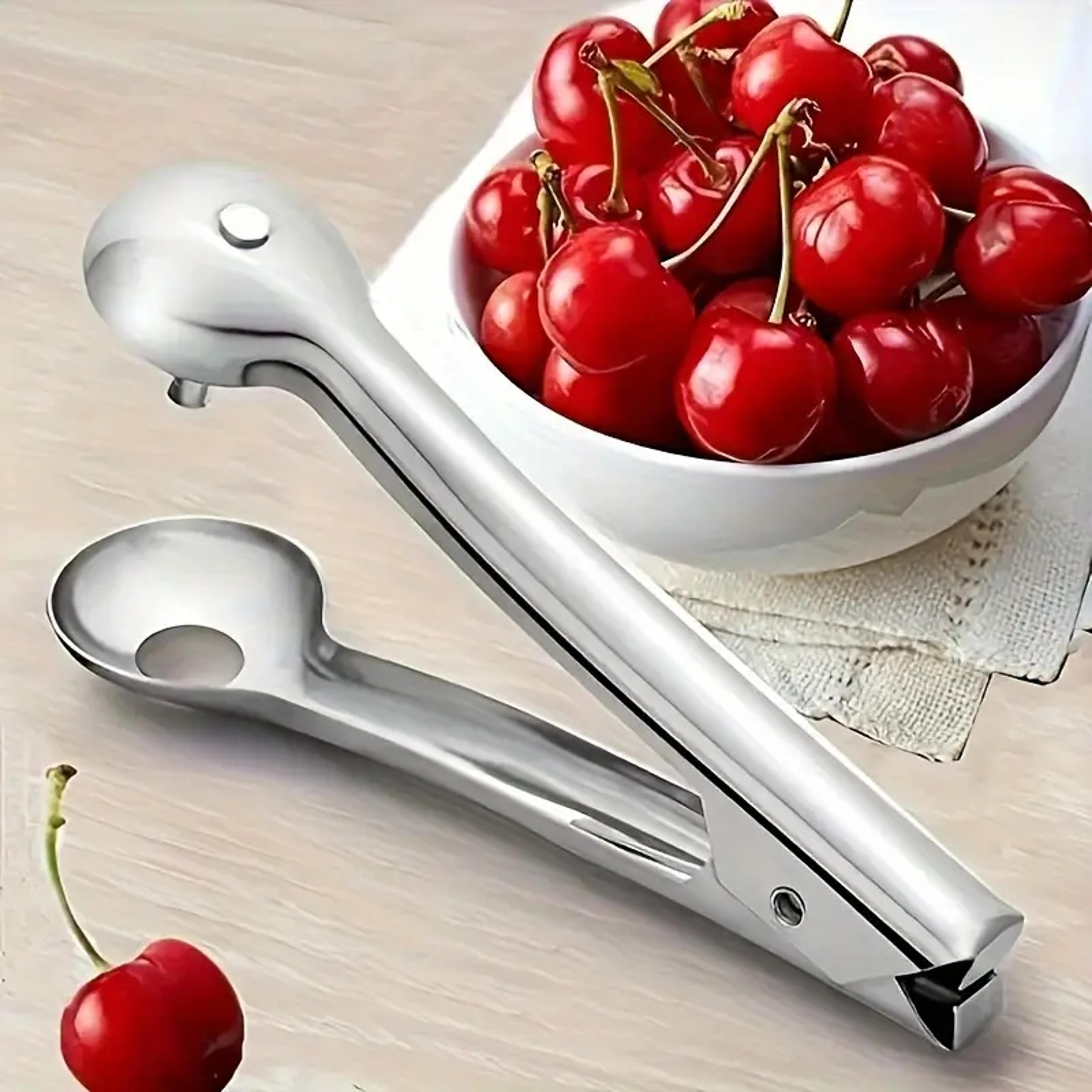 stainless steel jujube corer and cherry pitter tool for small fruits