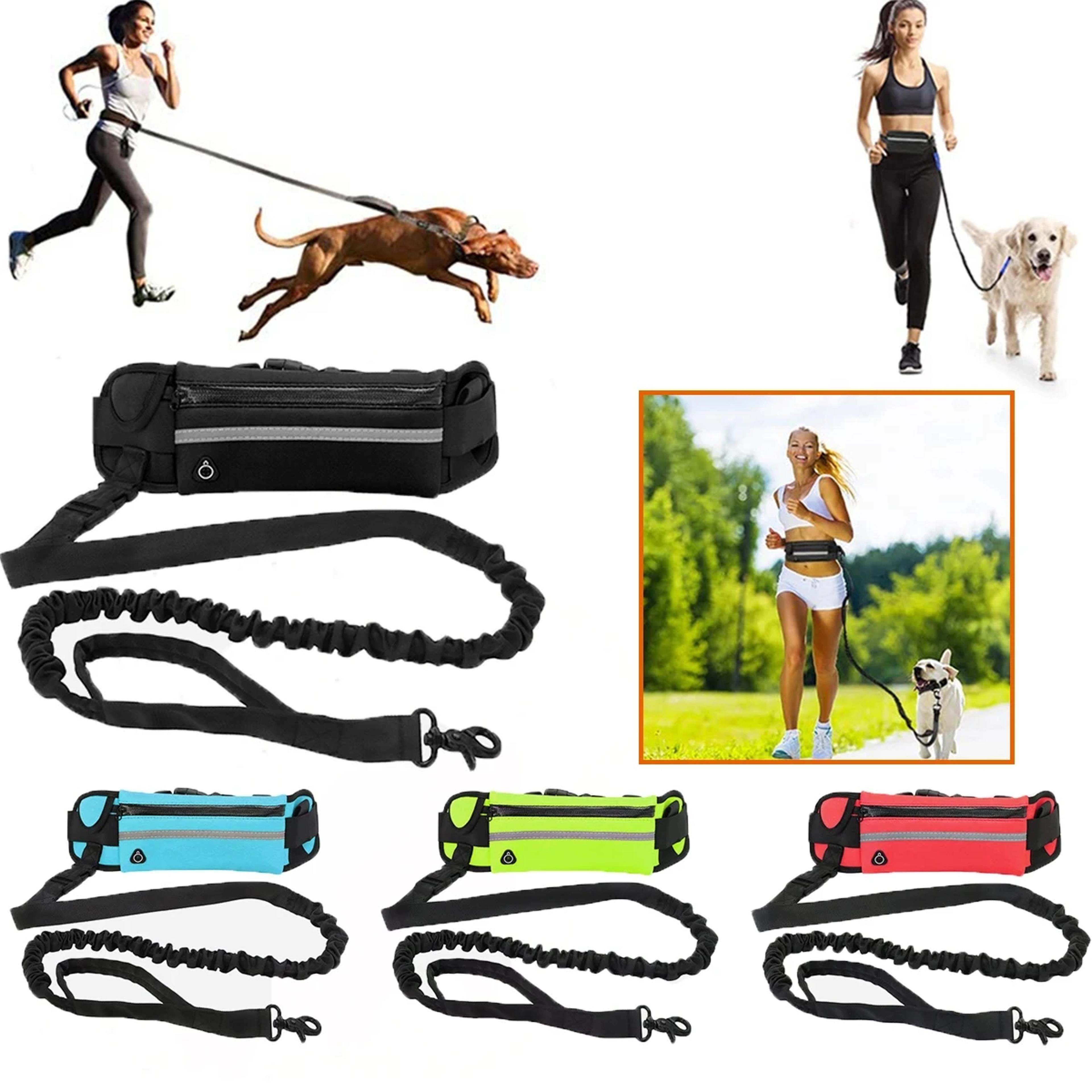 reflective hands free dog leash with running belt and waist bag
