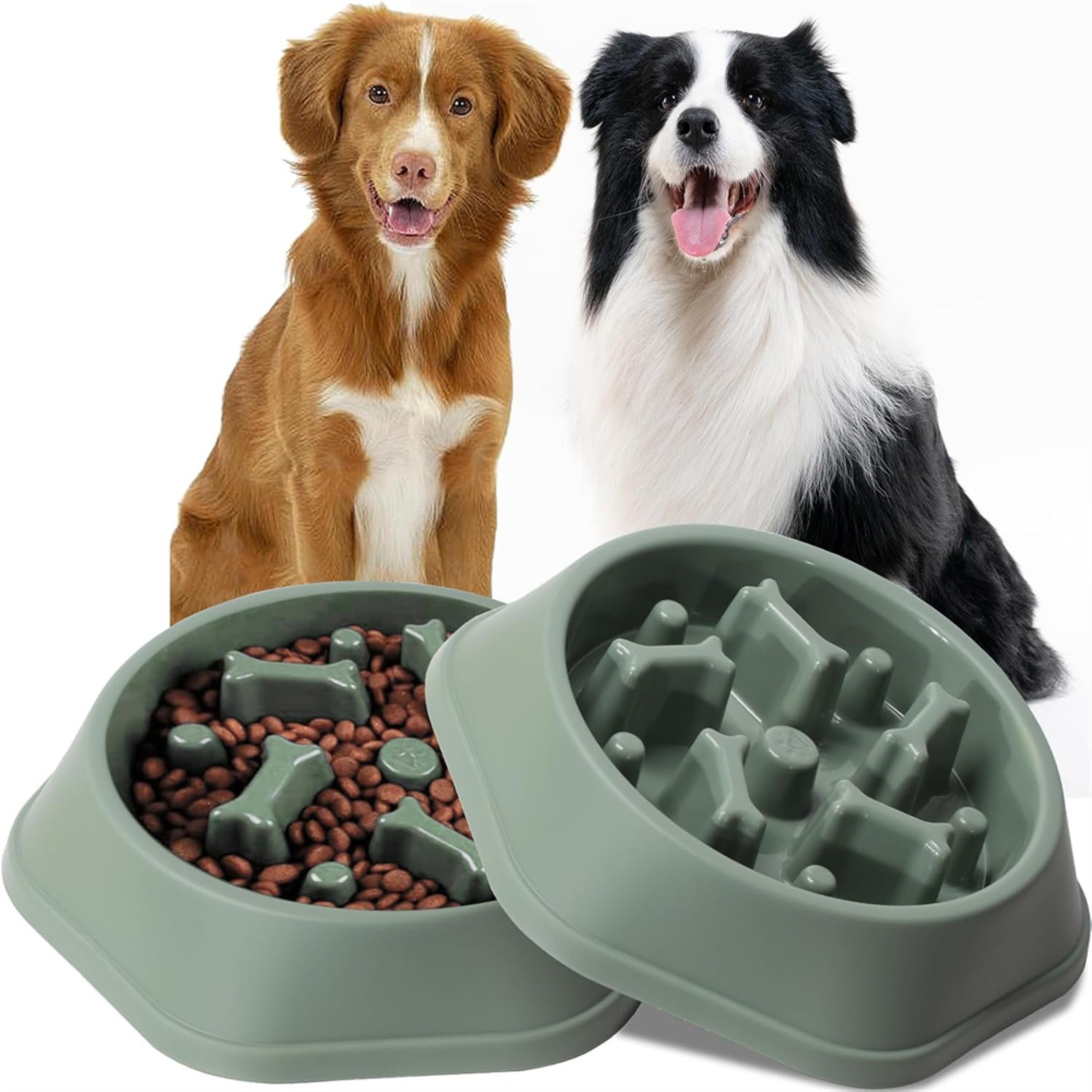 slow feeder dog cat bowl non slip choke resistant pet food dish