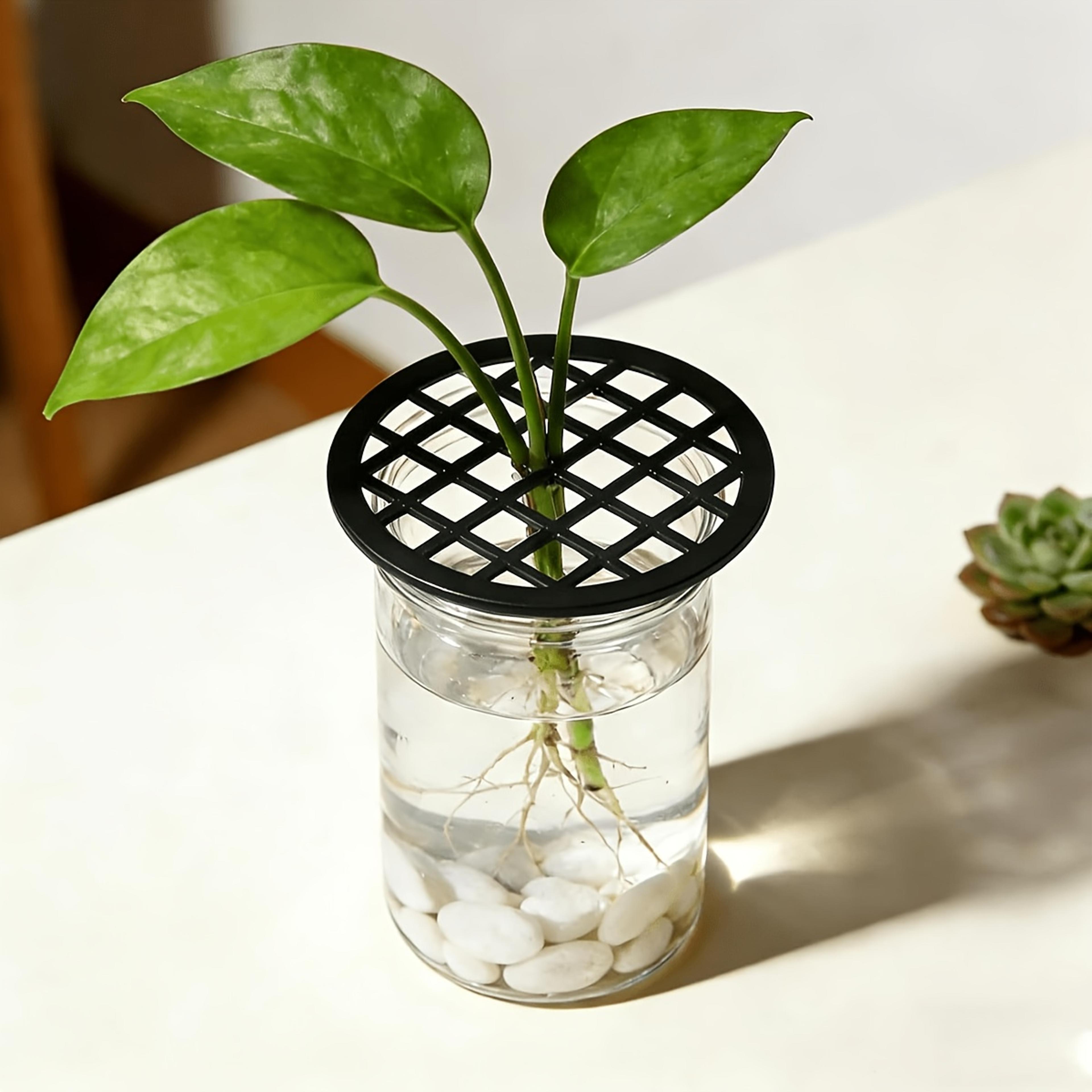 garden plant binding ties flexible branch support clips assorted shapes for plant training and decoration