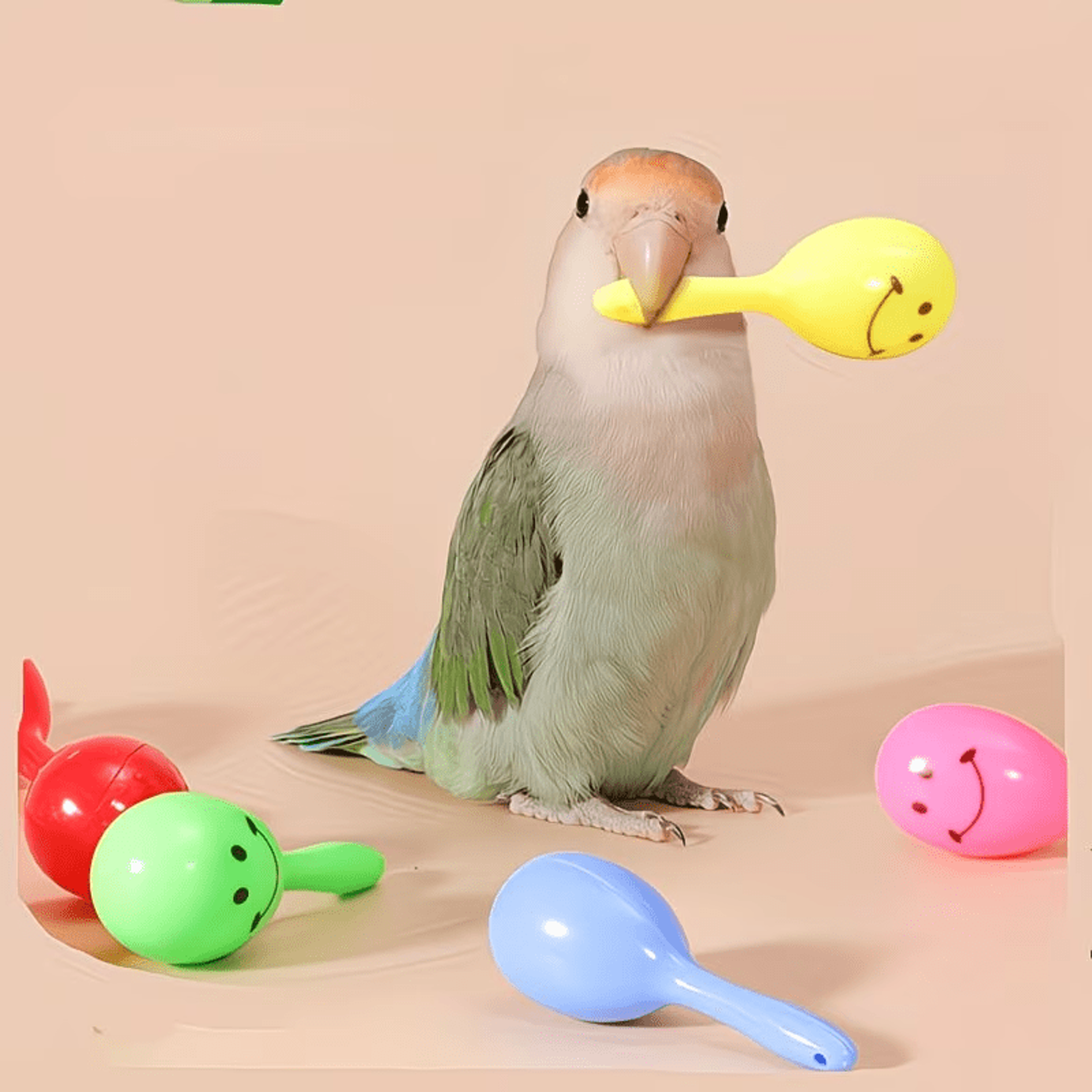 colorful parrot chewing toys bird bell toys for boredom relief and fun activity