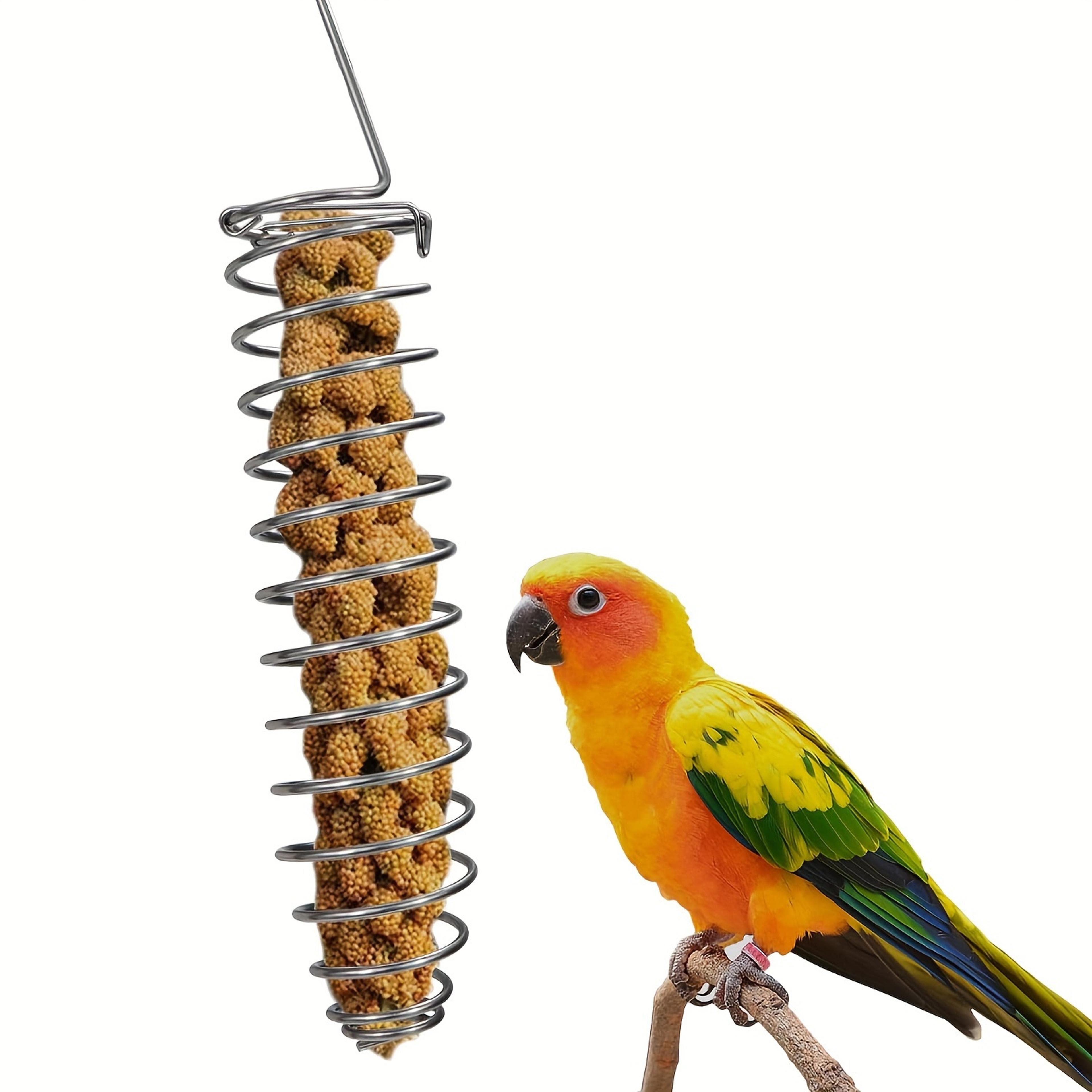 stainless steel parrot feeder bird food bowl for budgies, cockatiels, macaws & african greys