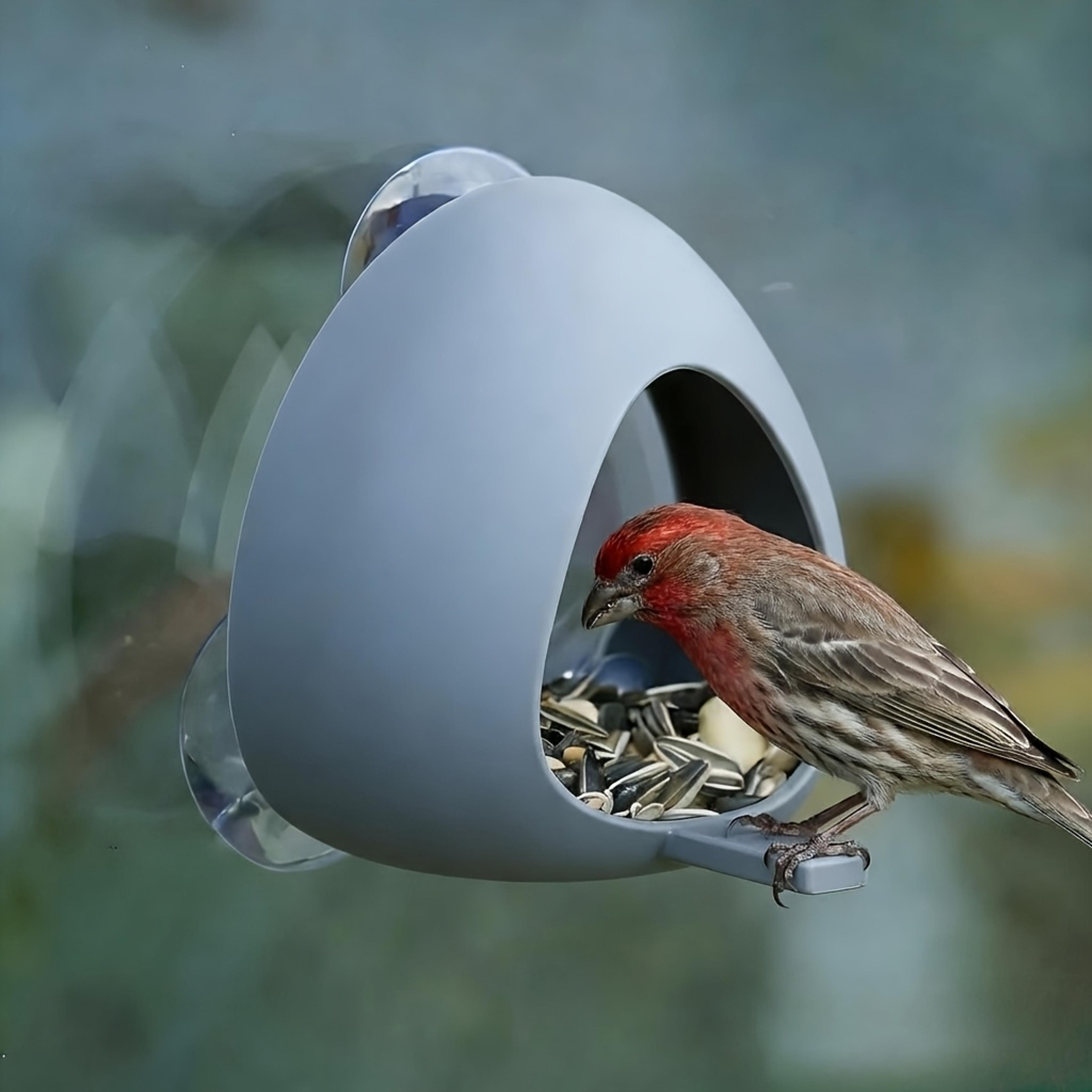 clear window bird feeder with strong suction cups & easy fill drain tray