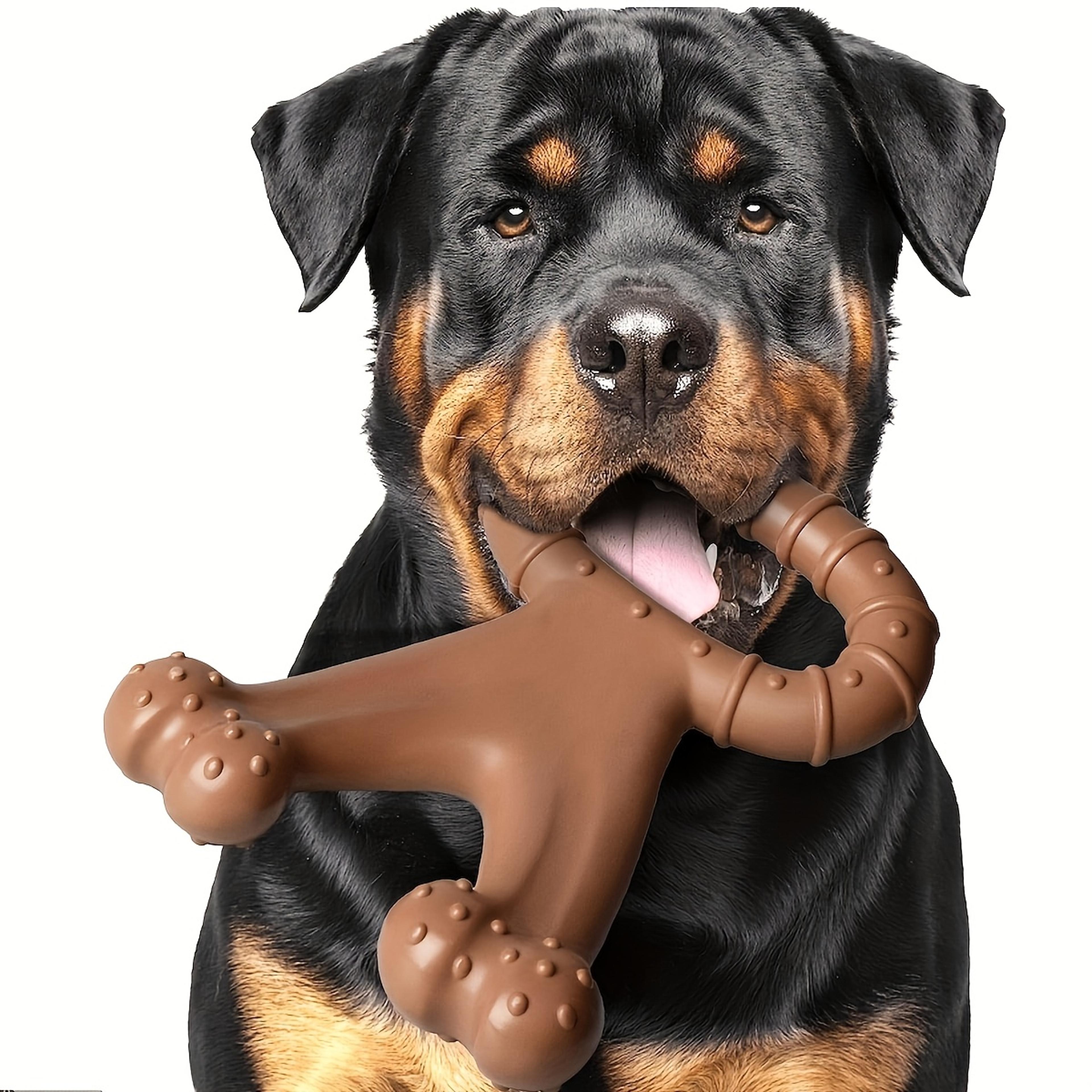 durable nylon dog chew toy interactive dental cleaning play toy for all breeds