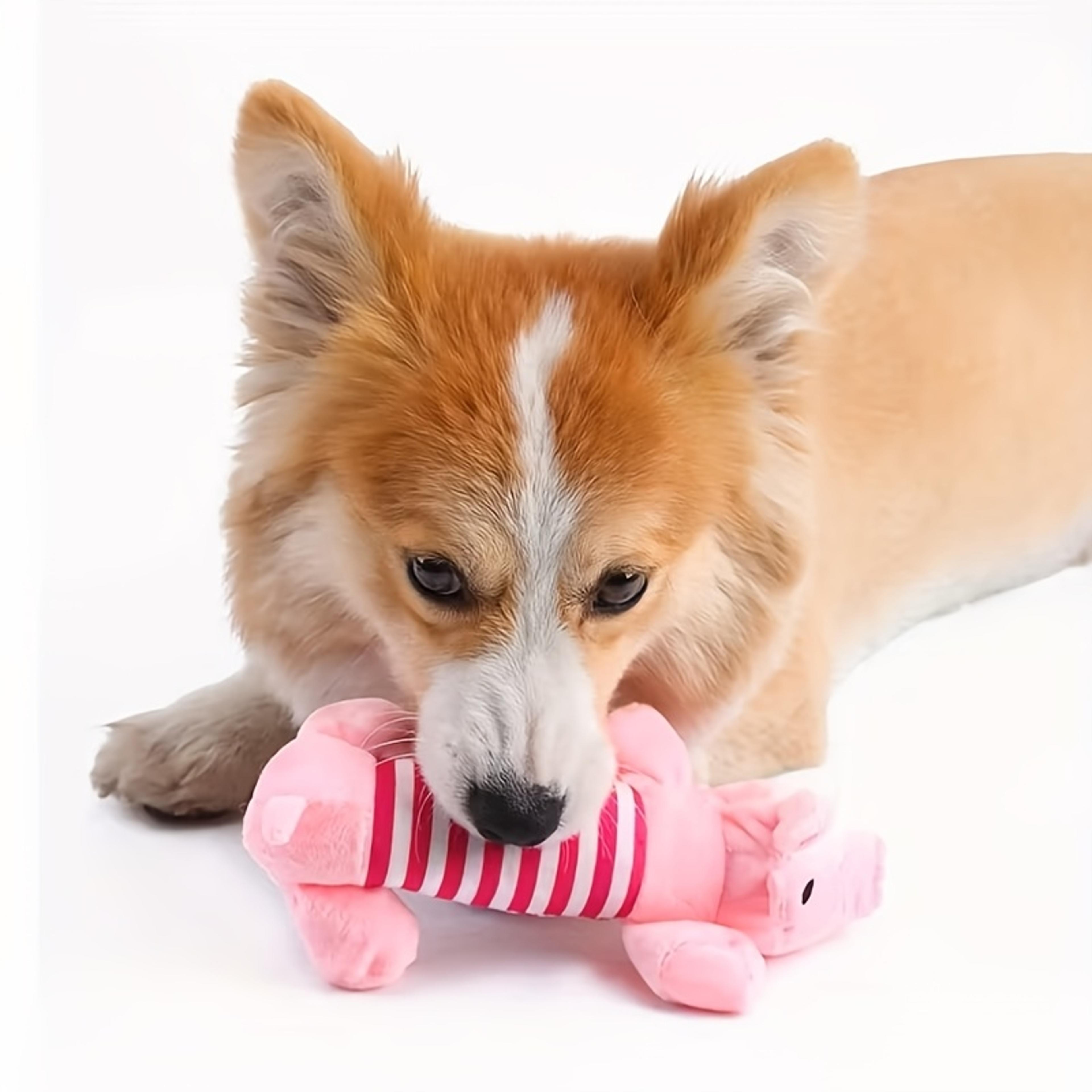 puppy teething squeaky plush chew toy interactive dog toy for small dogs