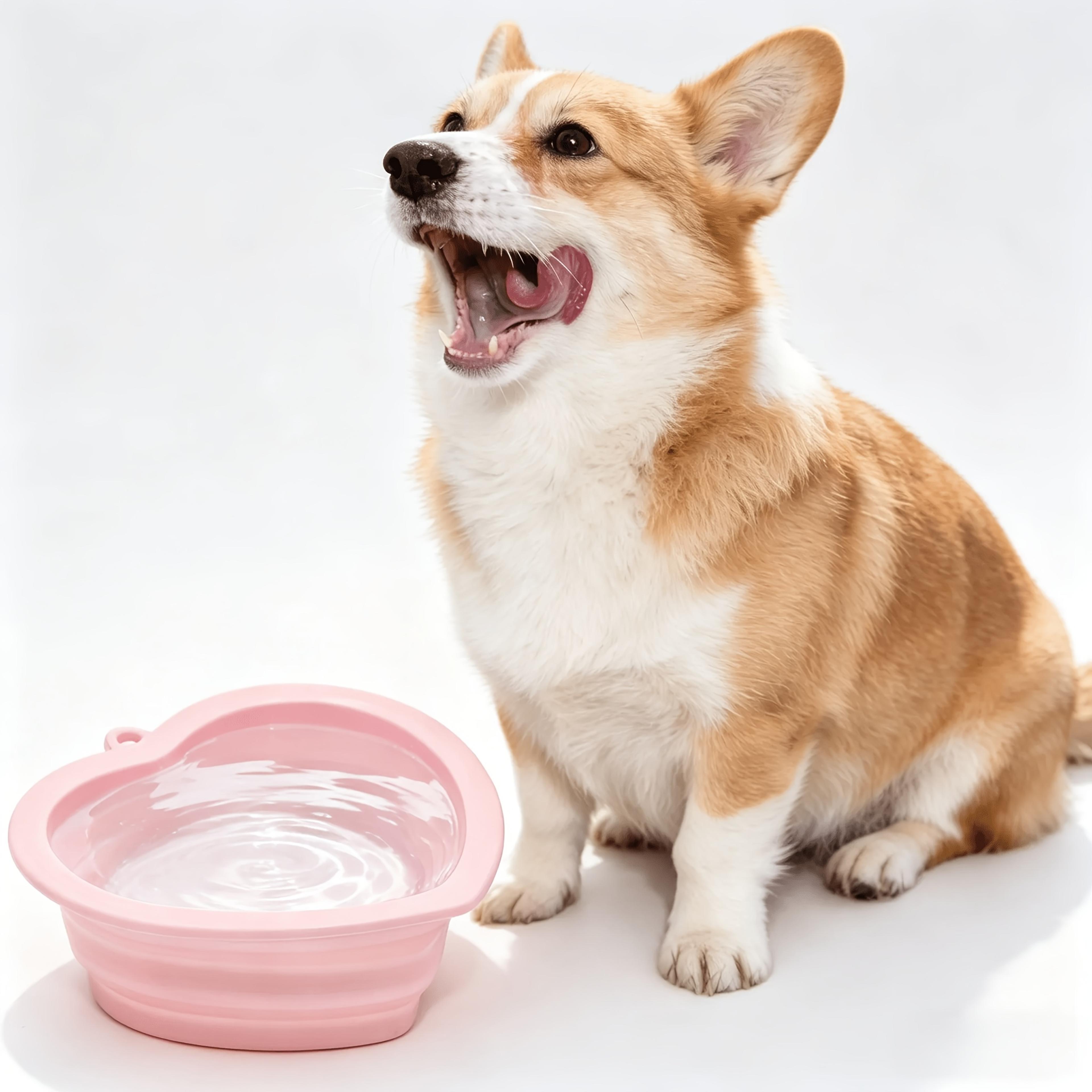 heart shaped foldable silicone dog bowl with lanyard portable travel pet bowl