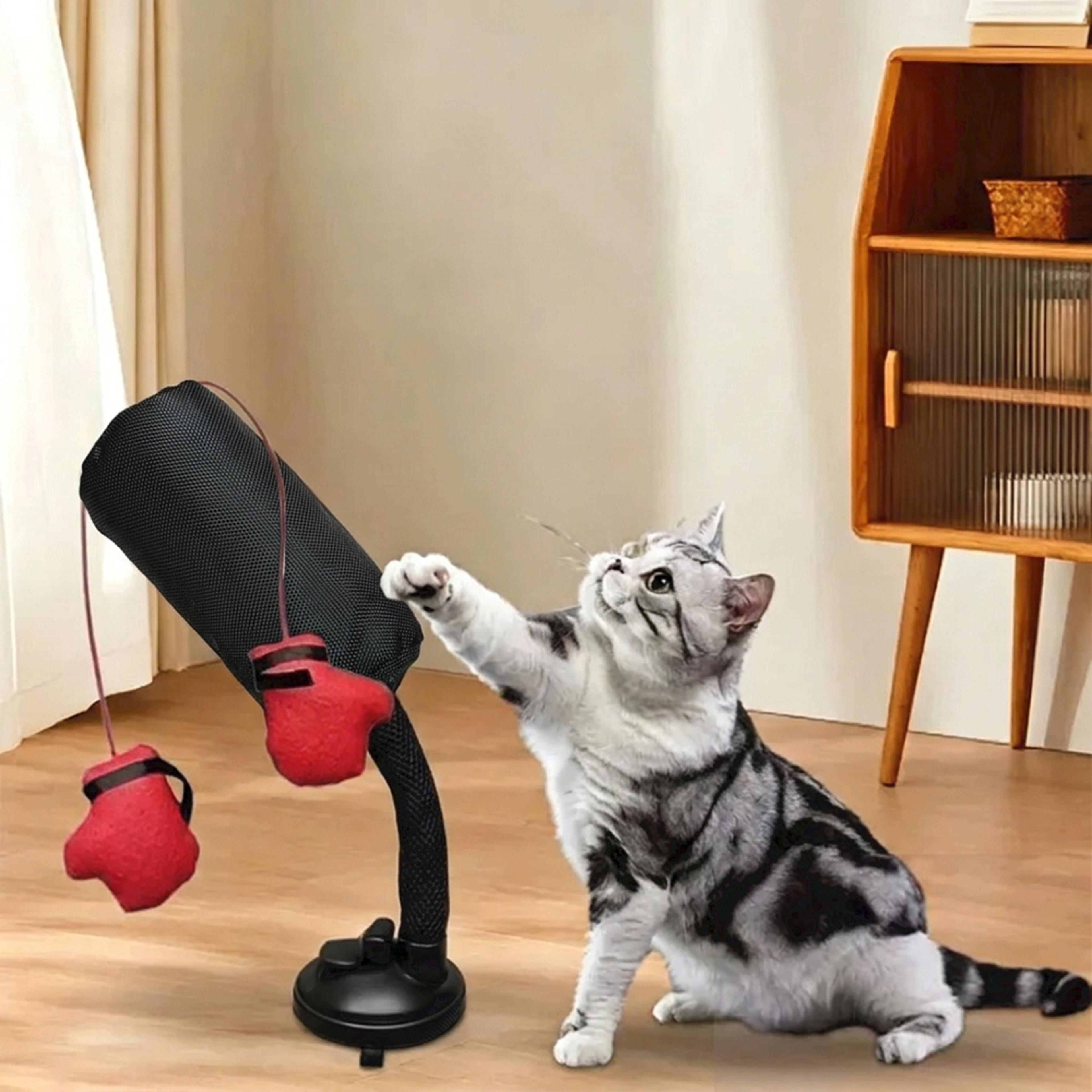 interactive cat punching bag toy with boxing gloves and suction cup