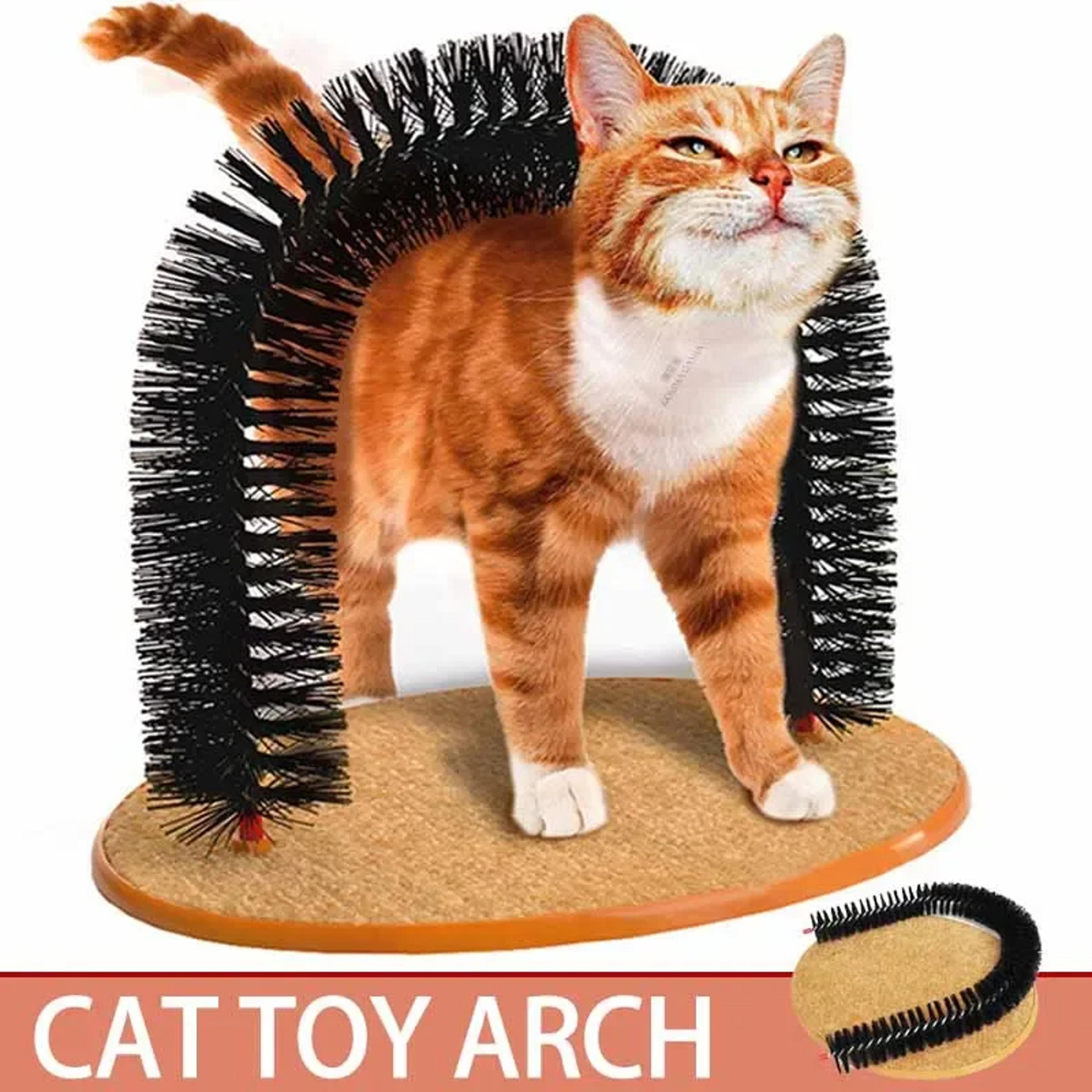 cat self grooming arch massage brush with scratching pad interactive cat toy