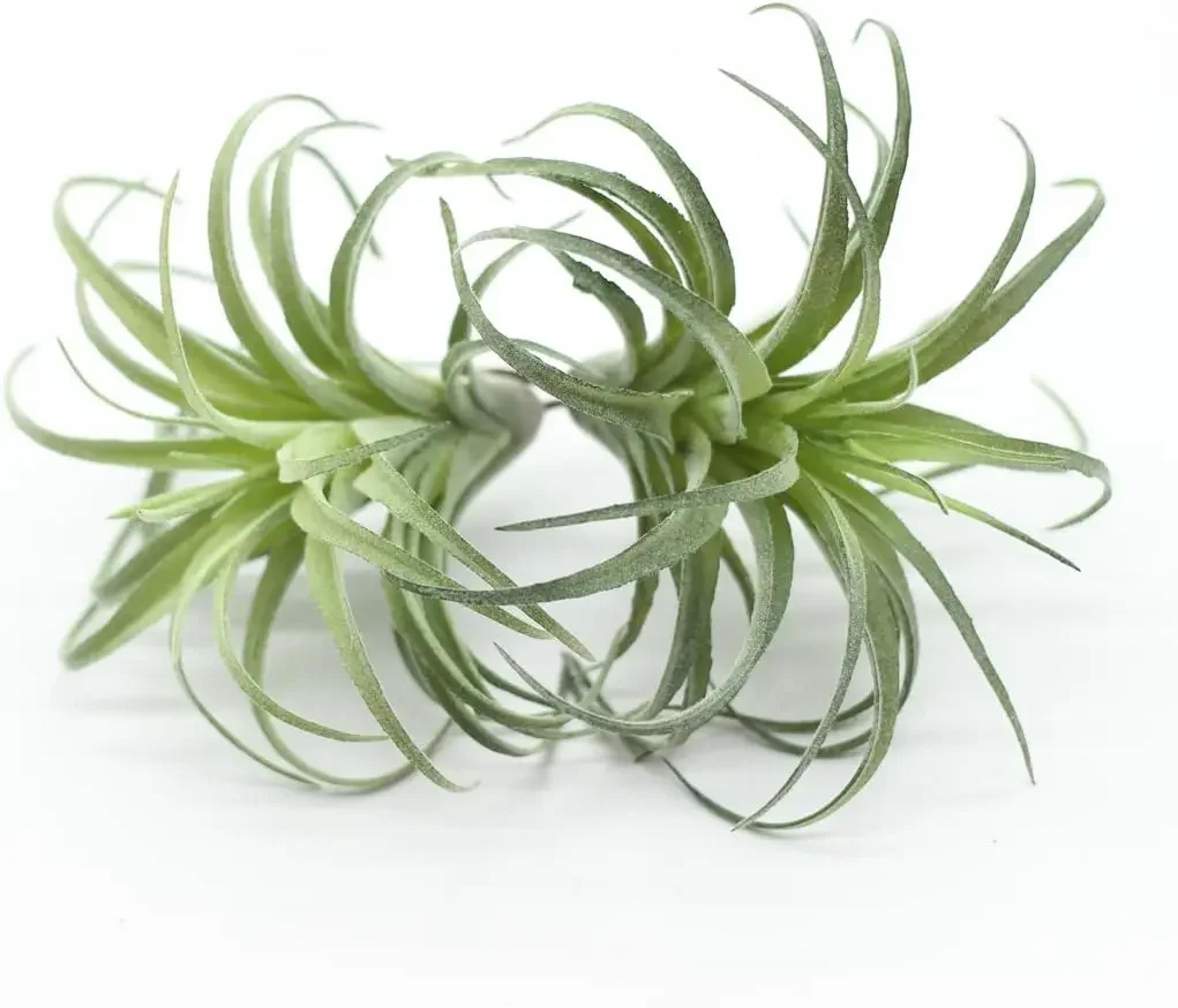 artificial flocking tillandsia air plants faux succulents for indoor outdoor decor