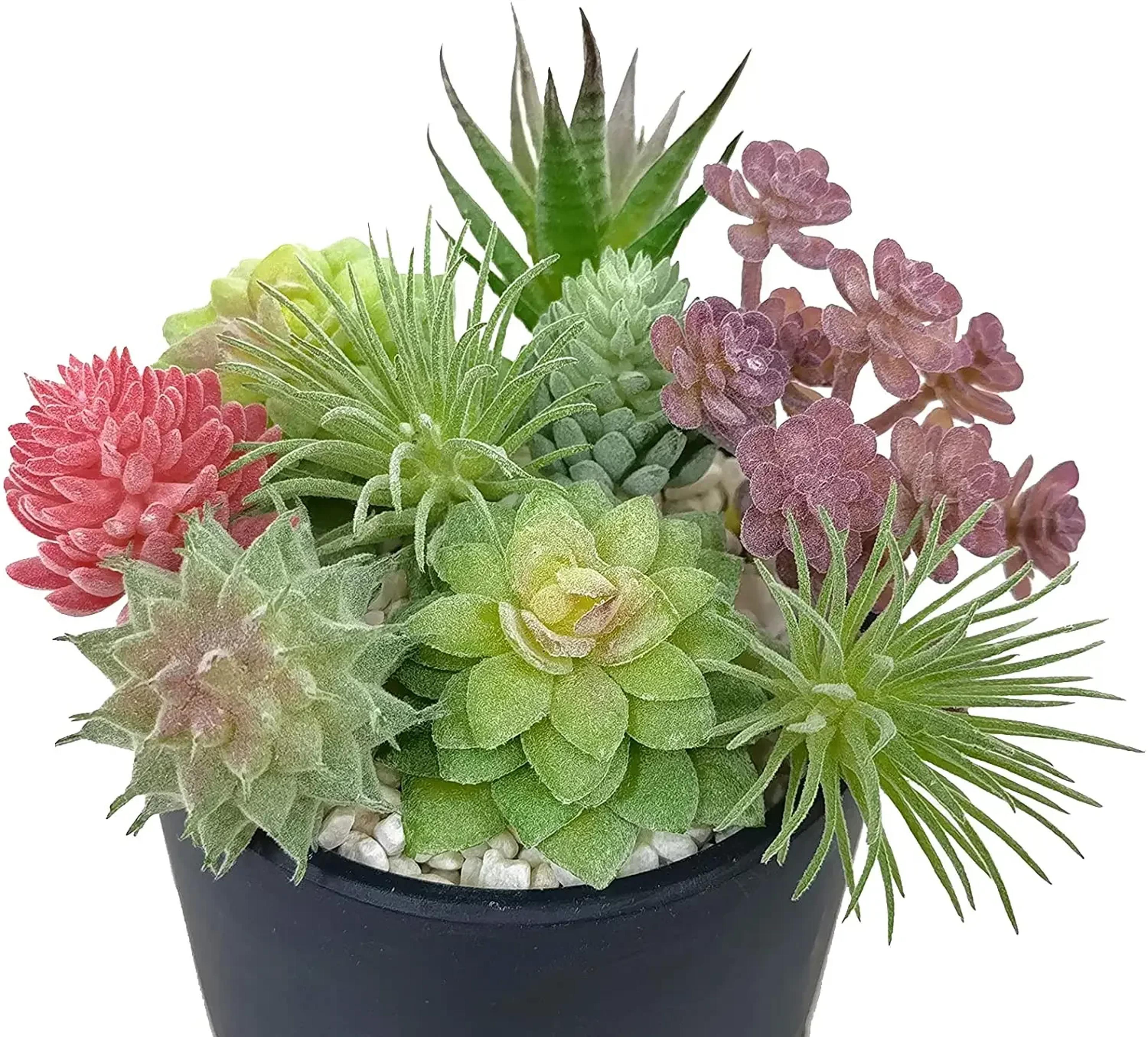 artificial succulent plants mini bonsai style indoor home decor set