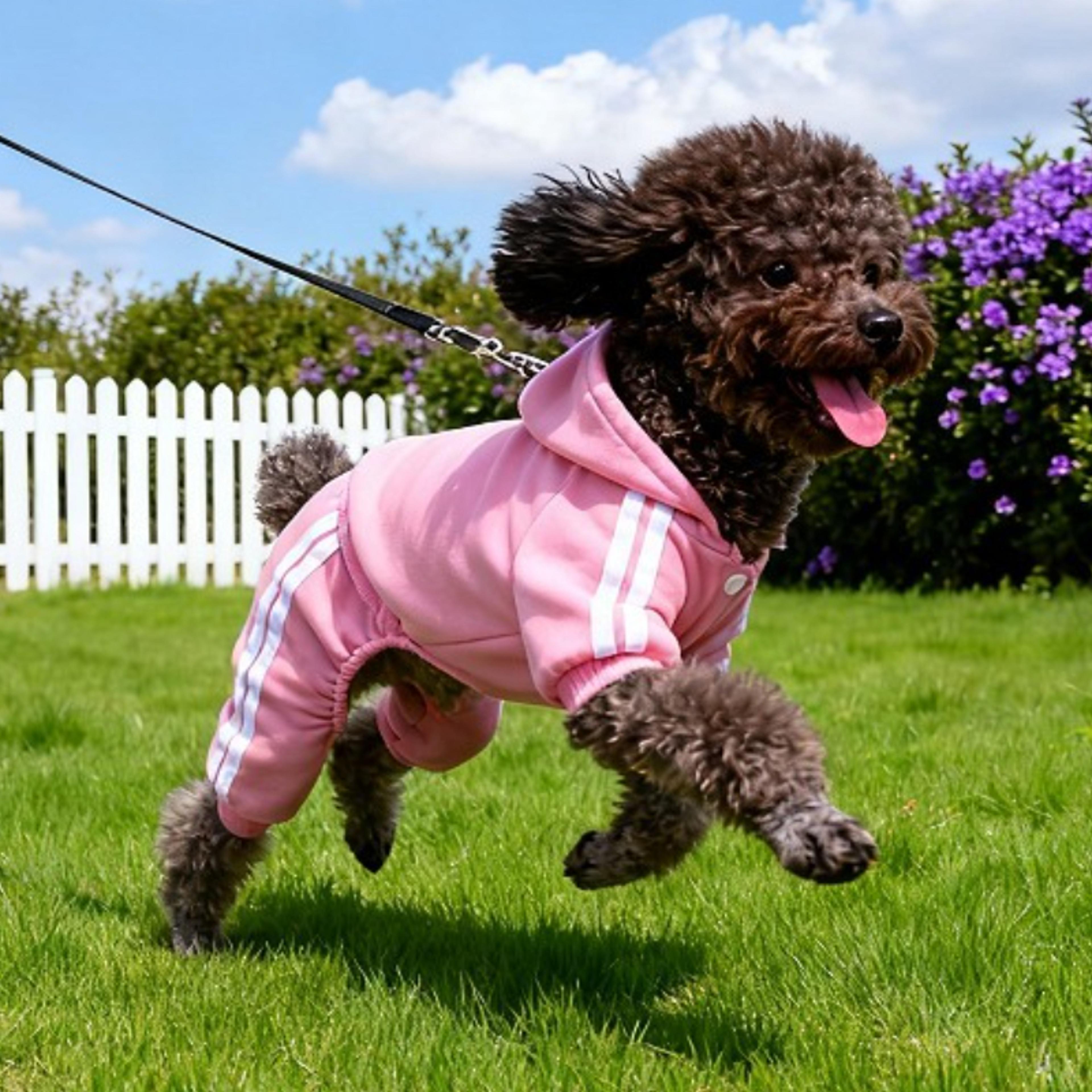 sporty dog hoodie with hat lightweight polyester puppy sweatshirt