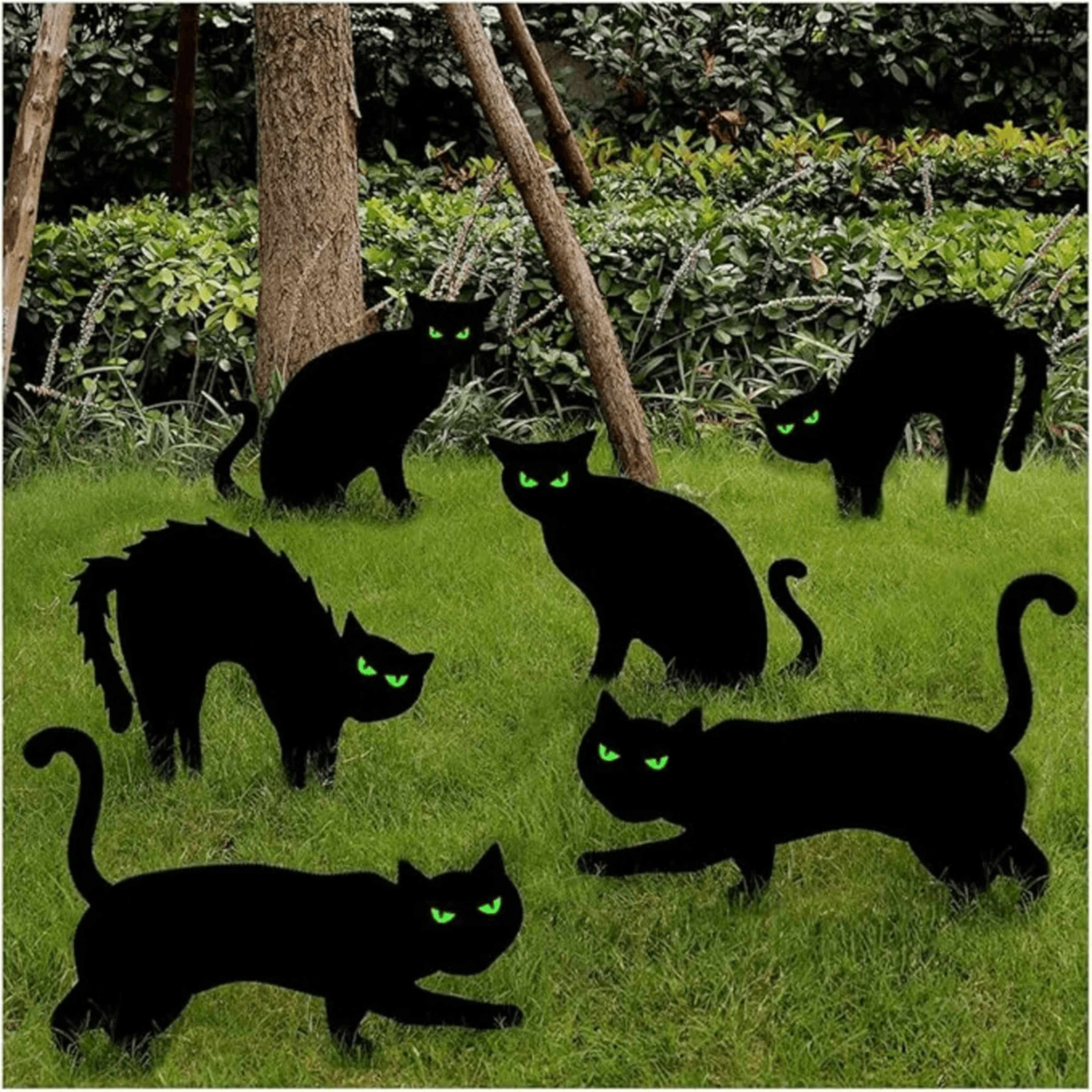 6 piece halloween black cat yard signs with glow in the dark eyes and stakes