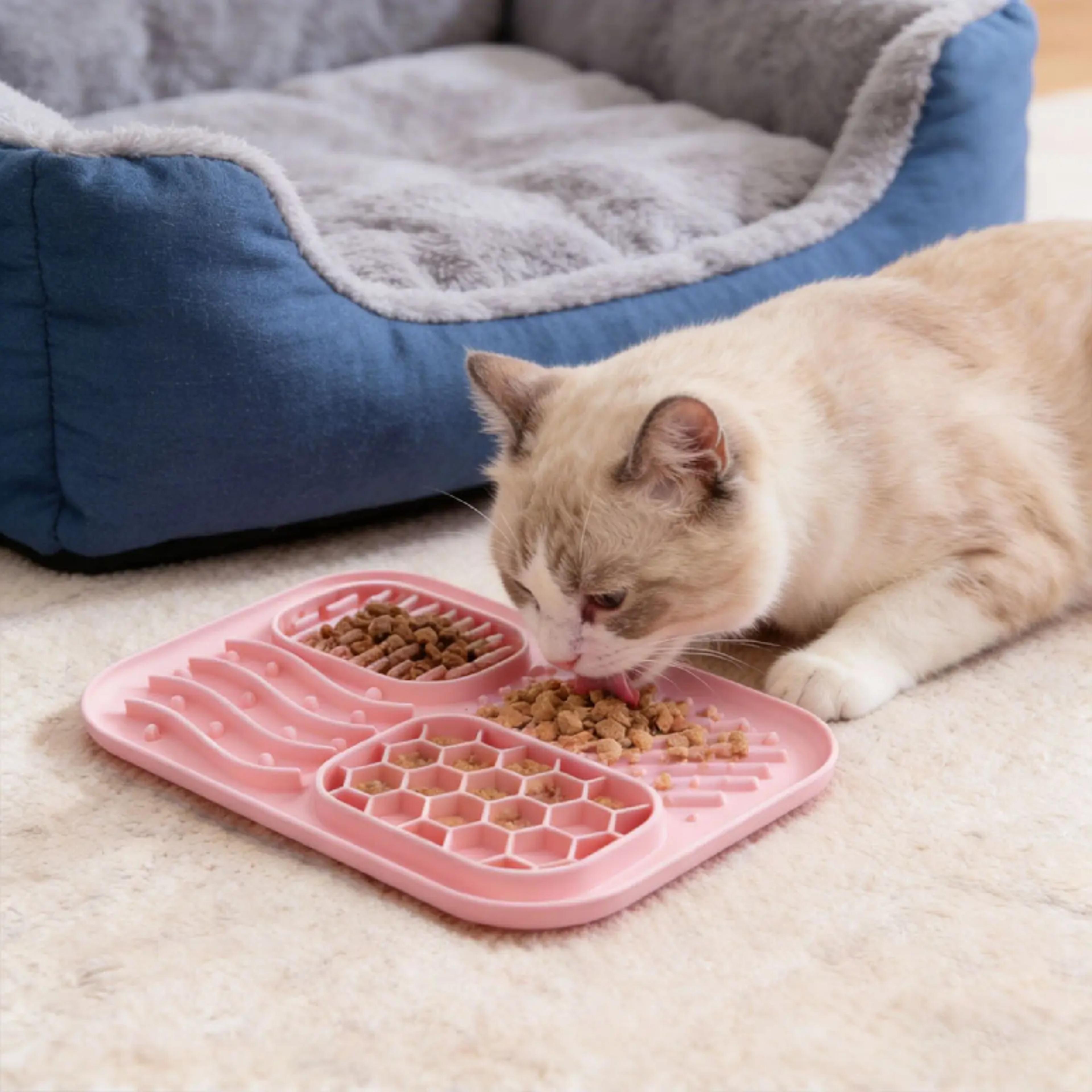 slow feeder dog bowl & lick mat for dogs anti spill pet feeding dish