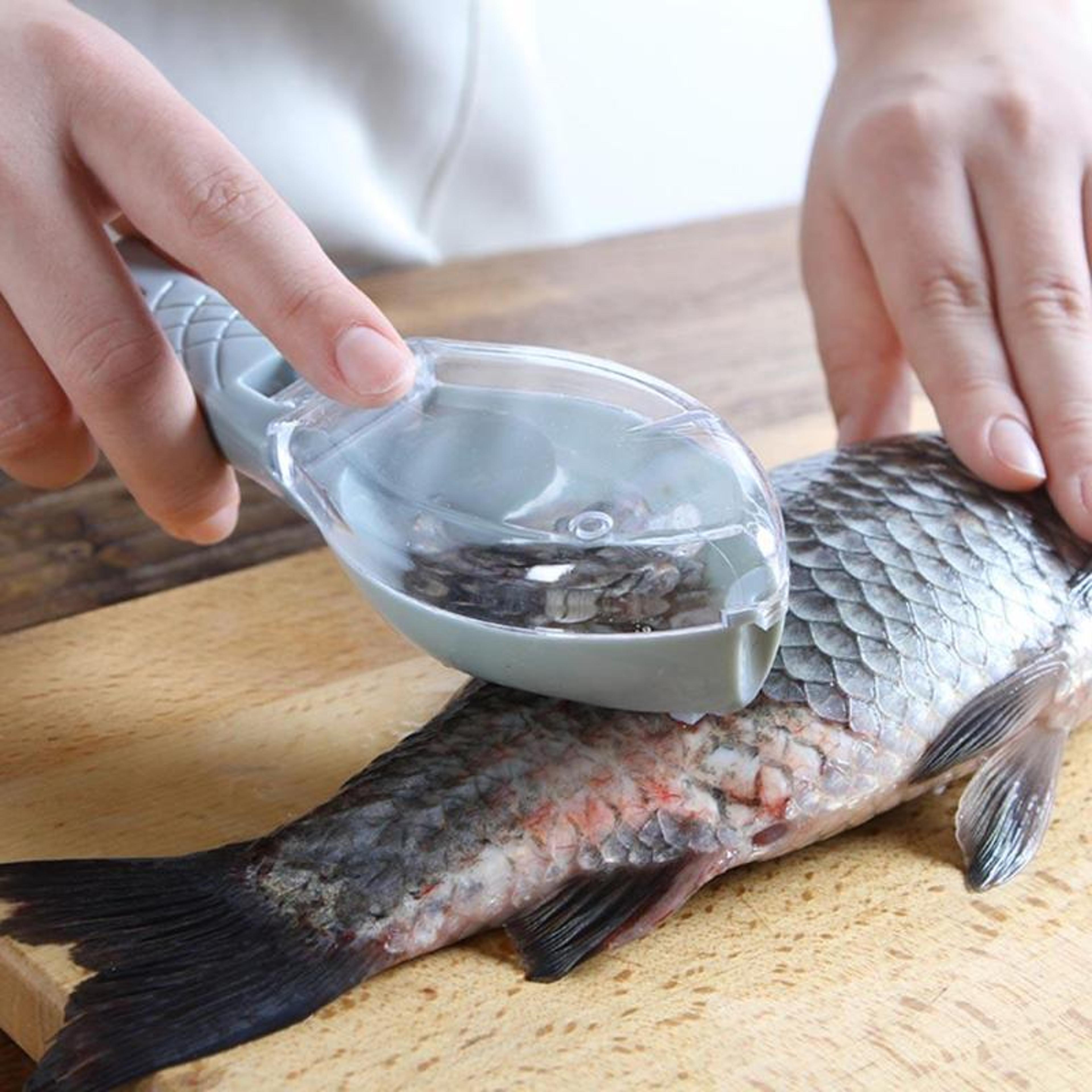 fish scaler with cover mess free fish scale remover & fish cleaning tool