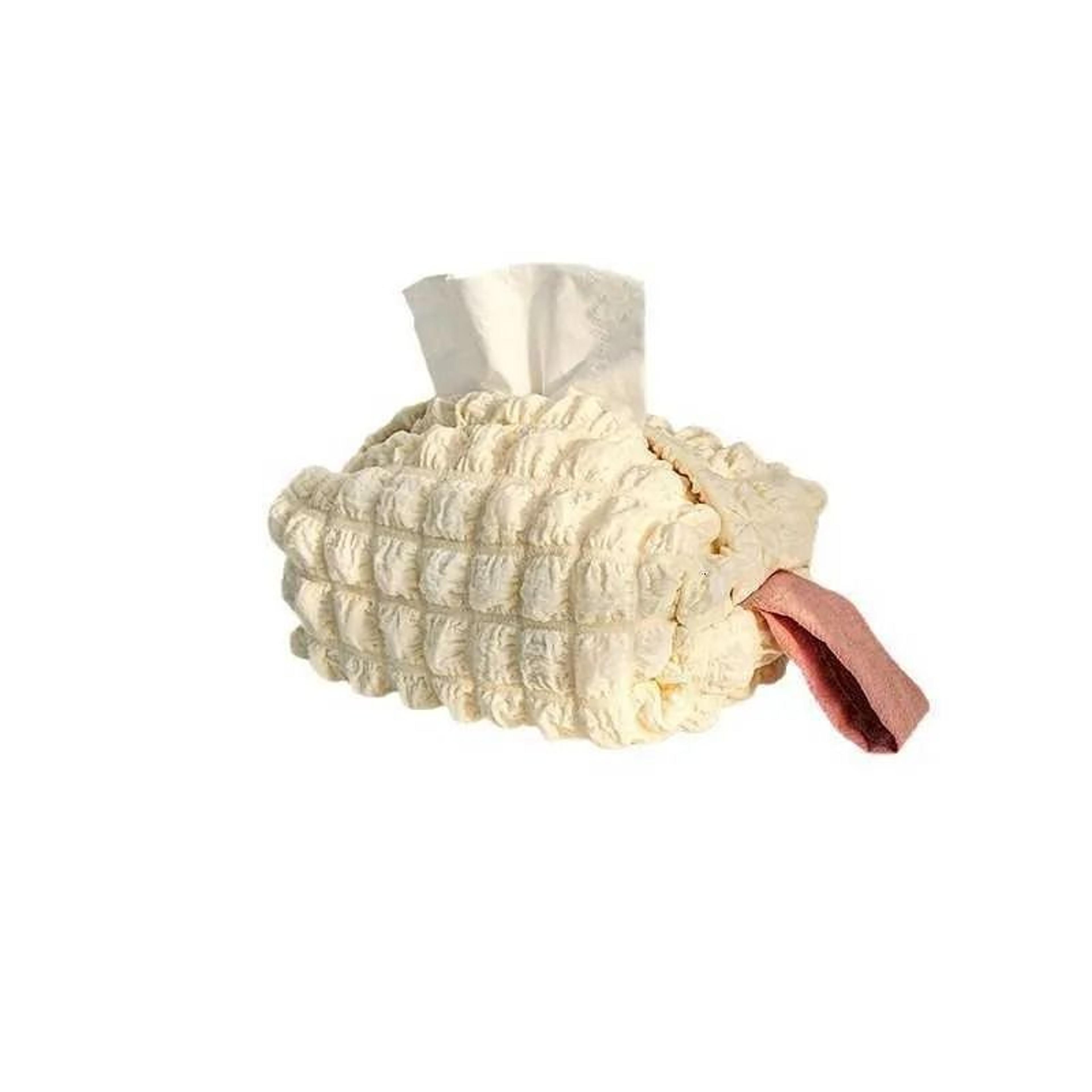 desktop tissue dispenser storage bag with handheld and hangable design