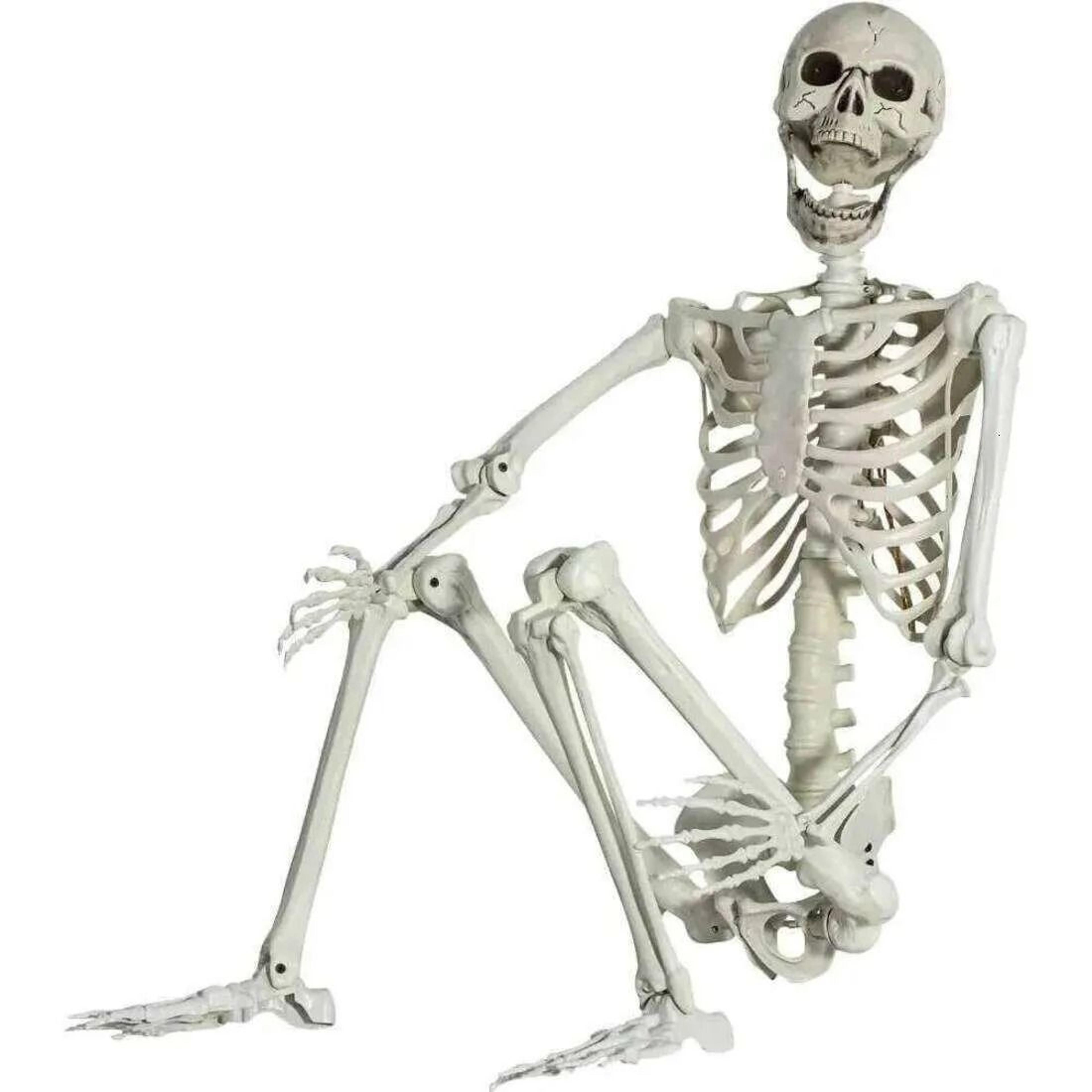 posable halloween skeleton decoration with movable joints