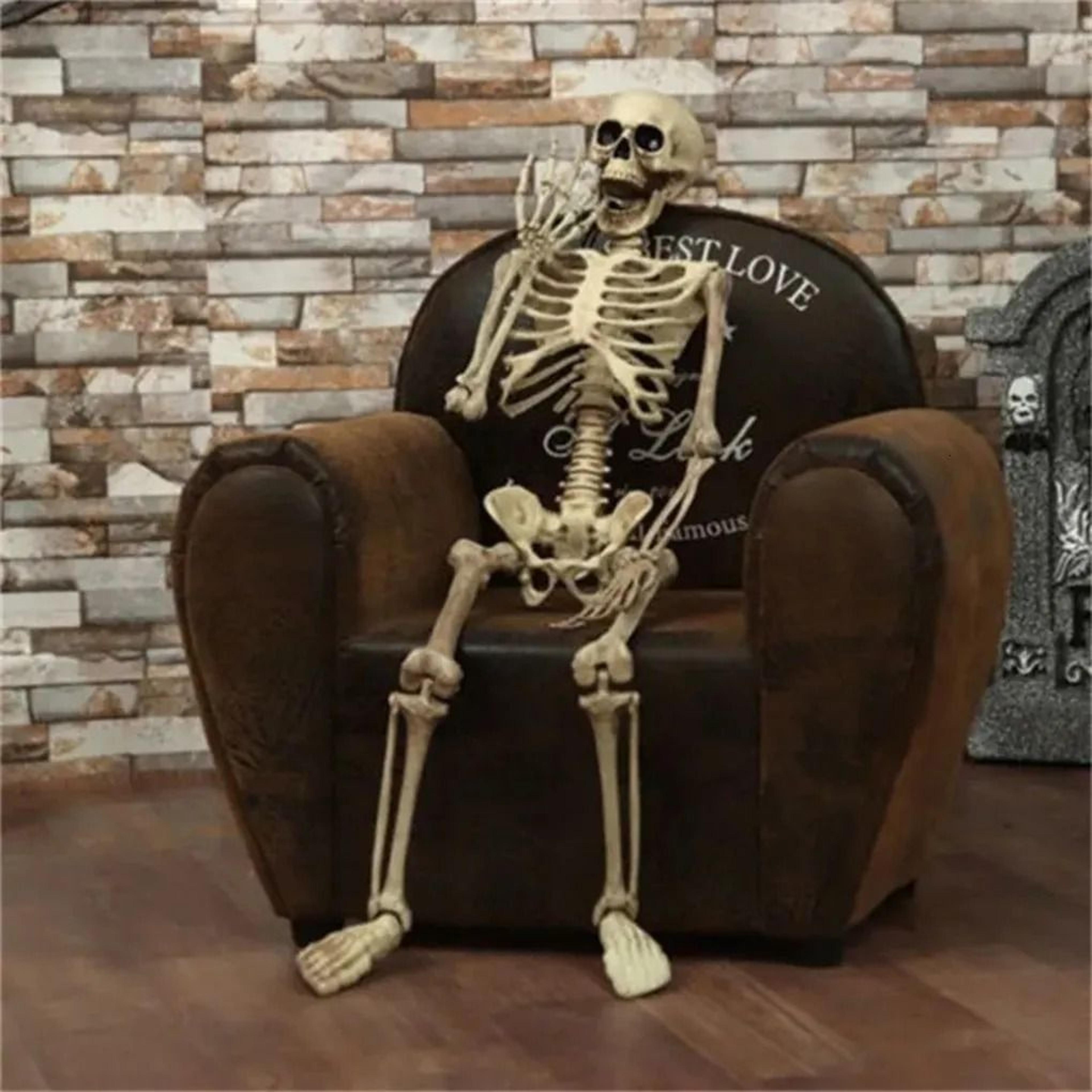 life-size halloween skeleton prop with realistic skull and hand details