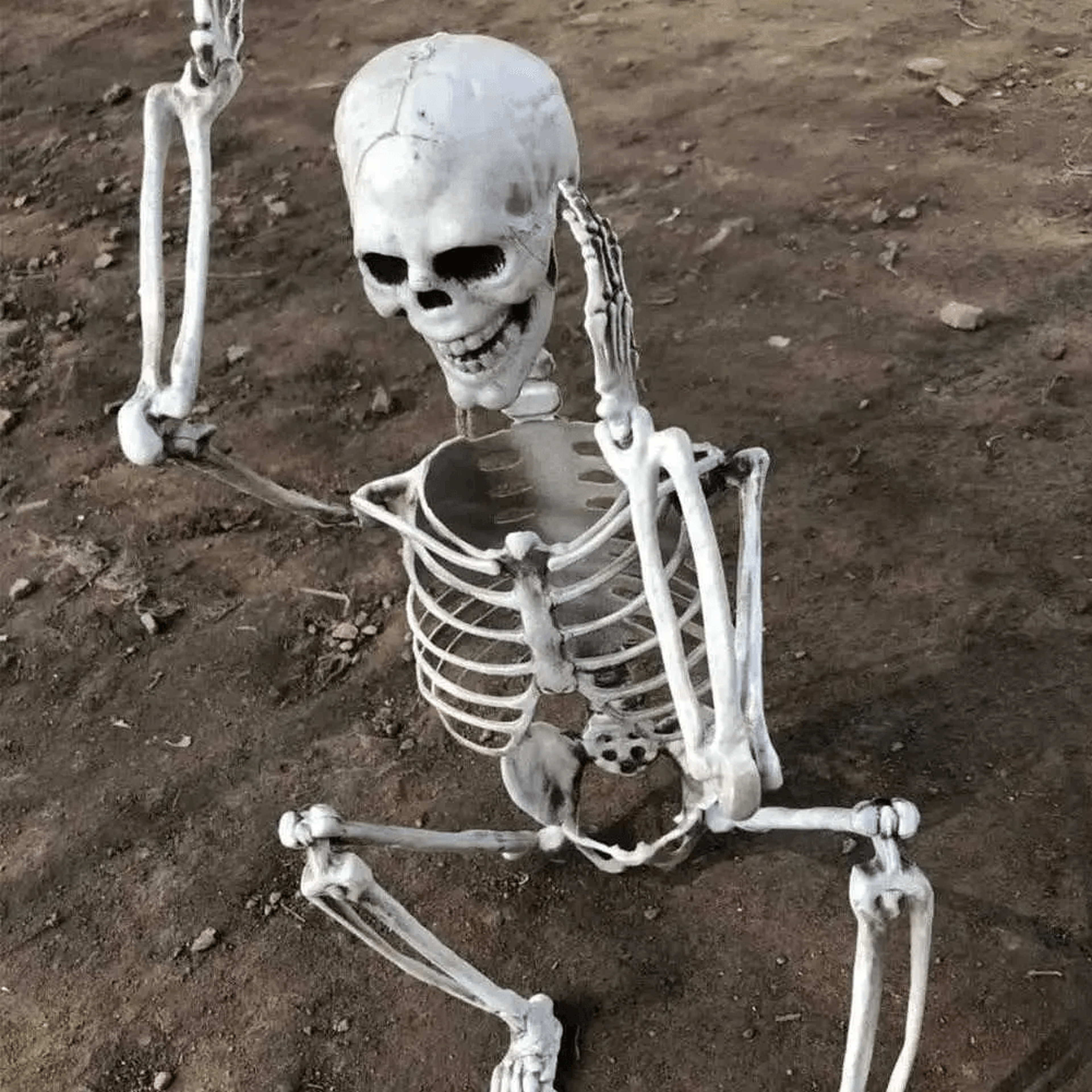 body skeleton prop with posable joints for halloween decoration