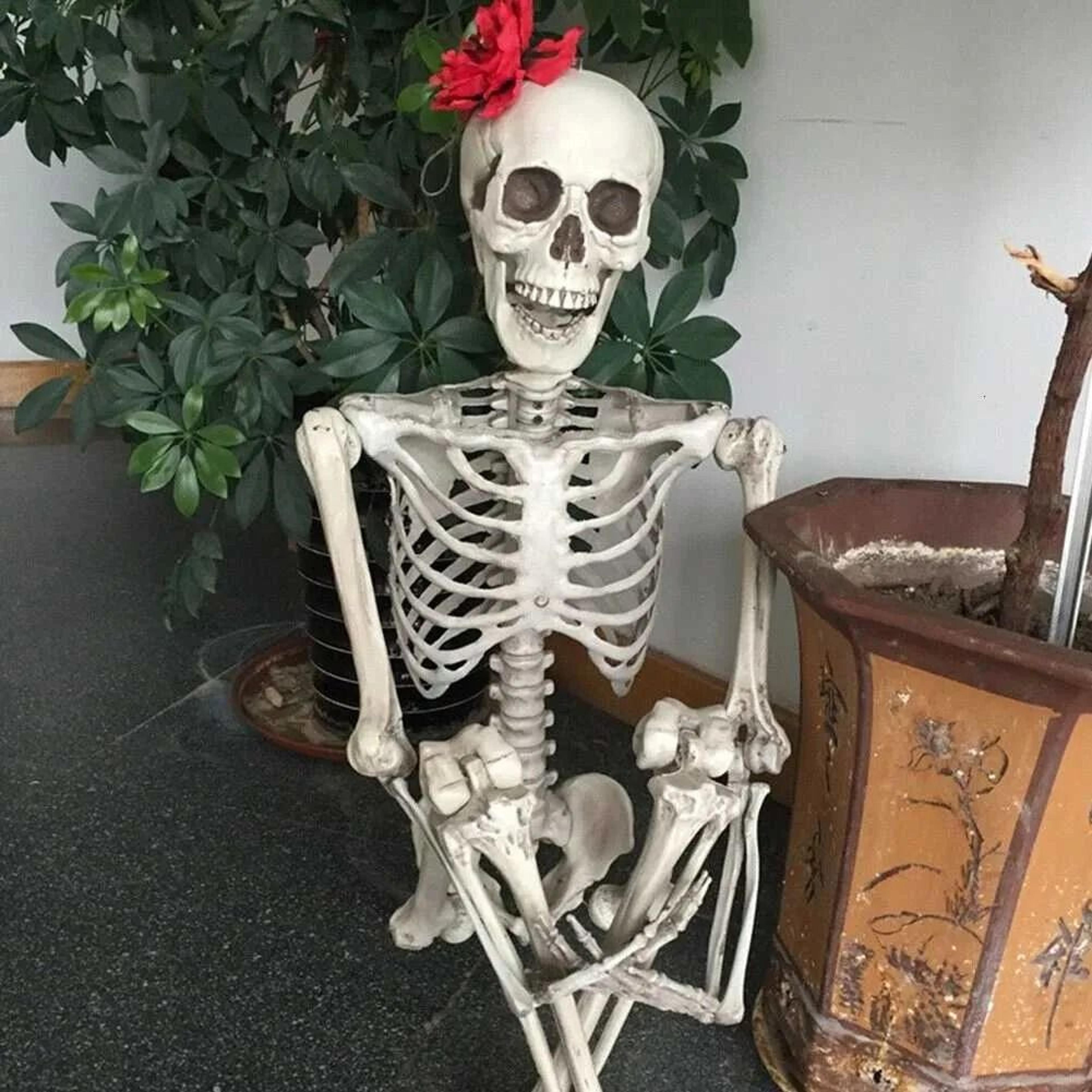 halloween skeleton decoration with movable joints for haunted house displays