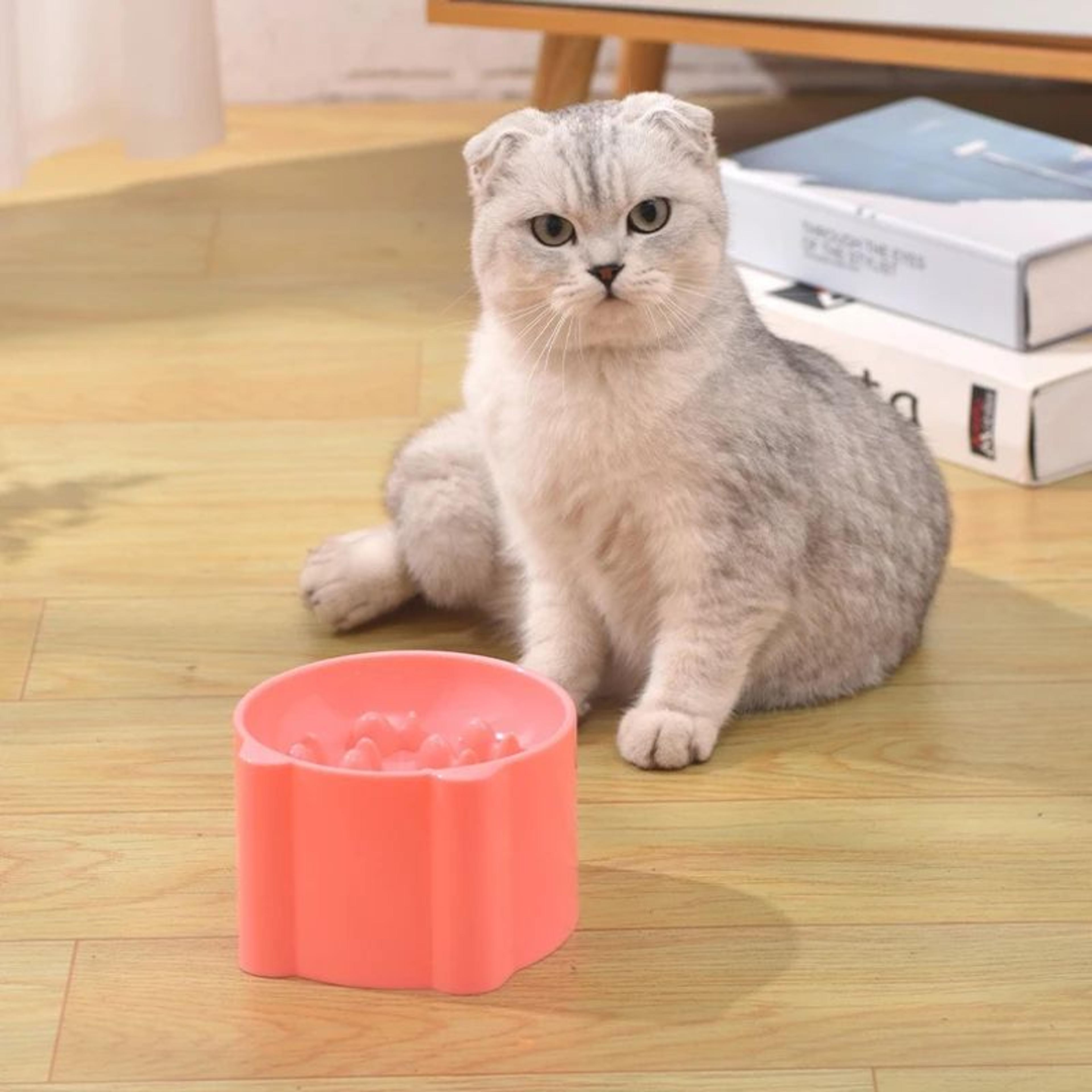 anti-choking slow feeder bowl for cats & small dogs – neck-protective puzzle feeding dish for healthy eating