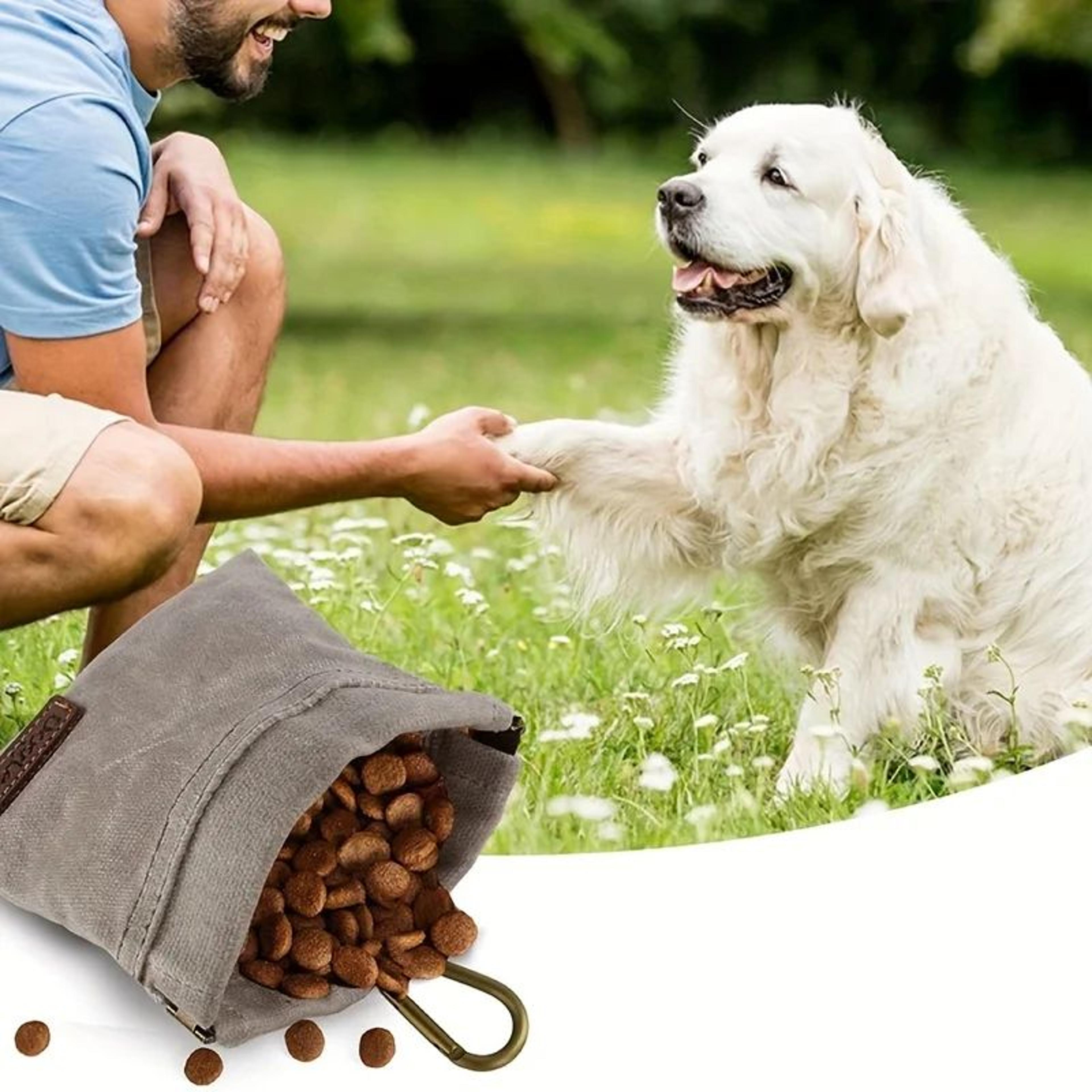 large capacity dog treat waist bag – hands-free dog walking training pouch with snack storage, poop bag dispenser & pet