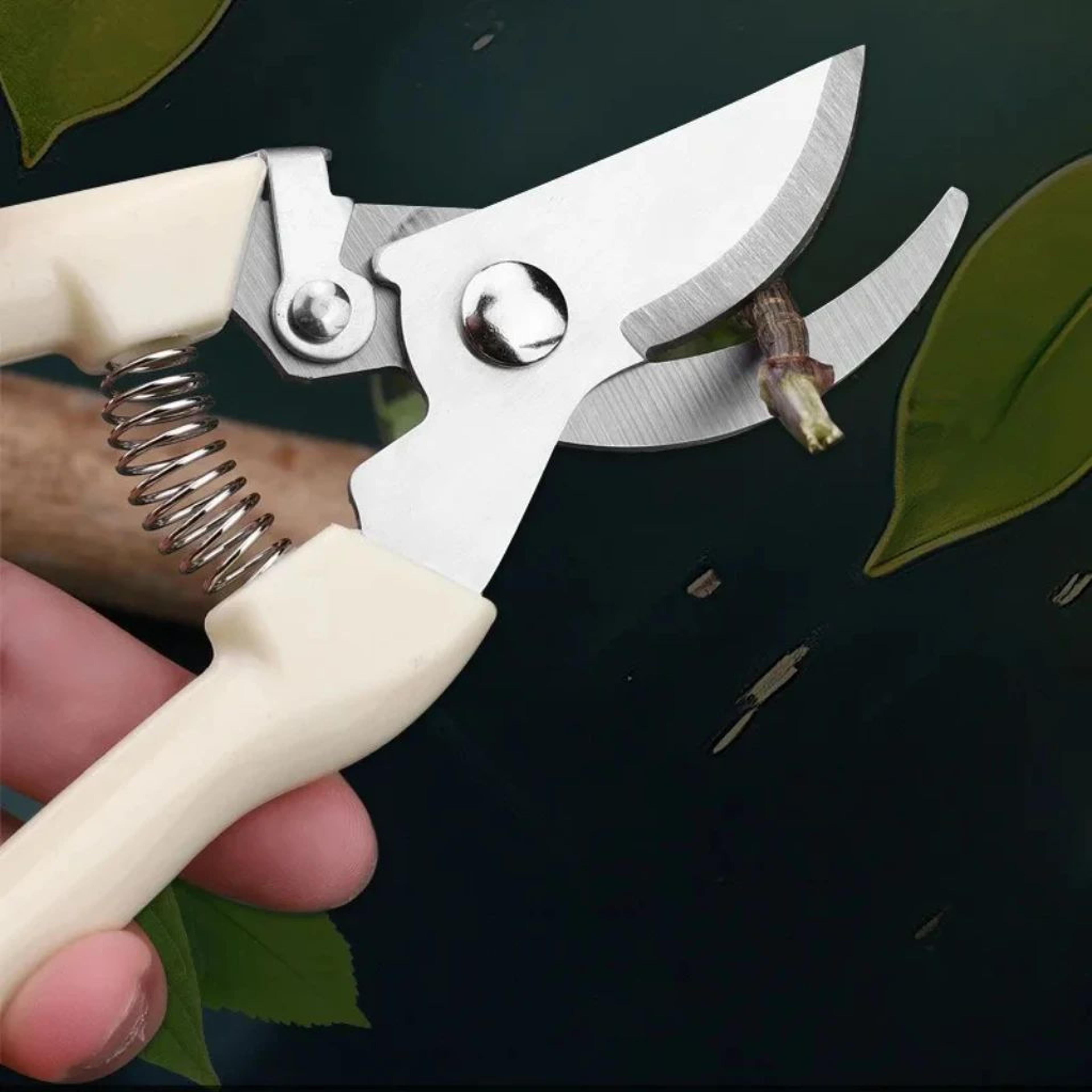 stainless steel fruit picking & pruning shears gardening scissors for tree trimming, flower cutting & grafting work