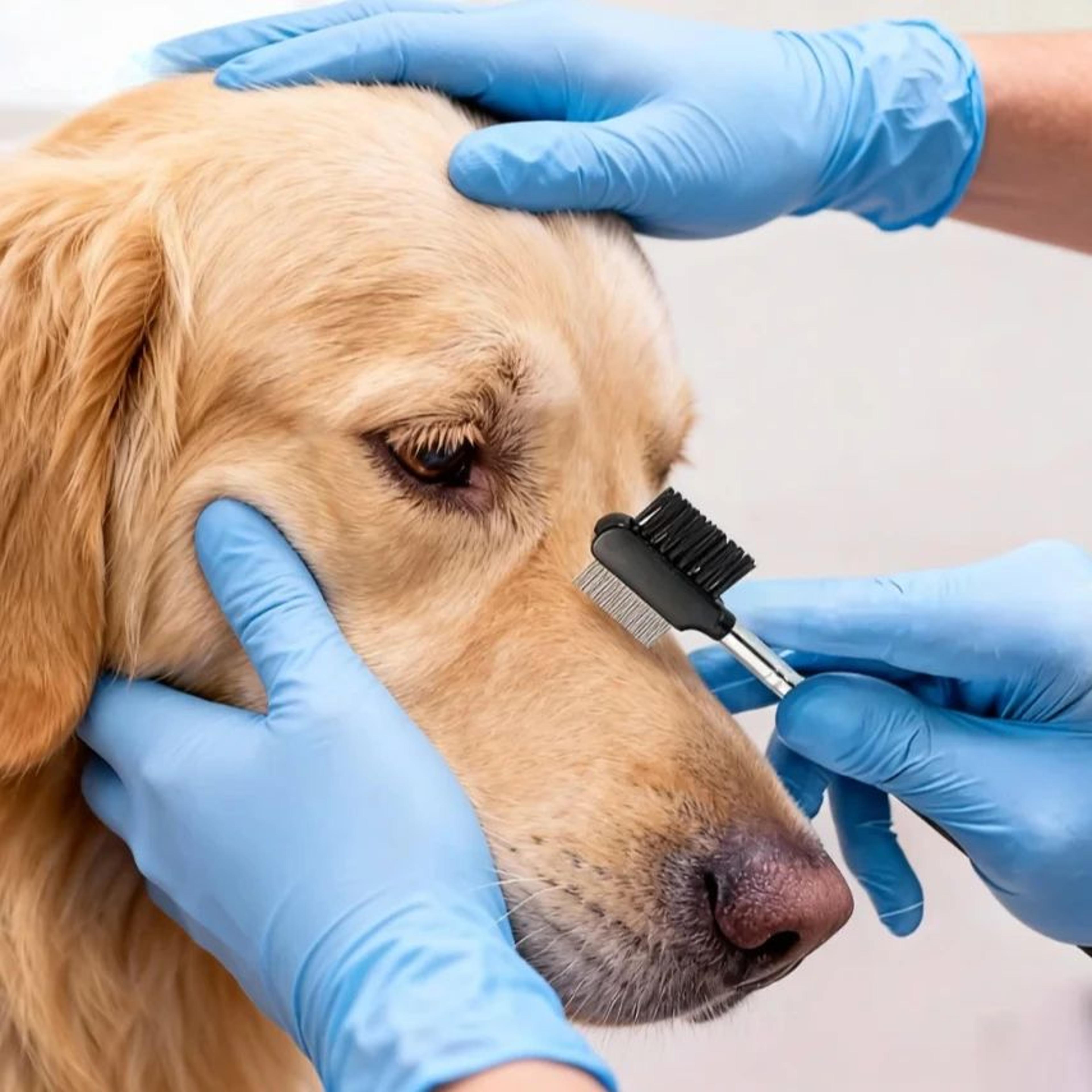 double-sided pet tear stain remover comb - gentle eye cleaning brush for dogs & cats, crust & mucus remover