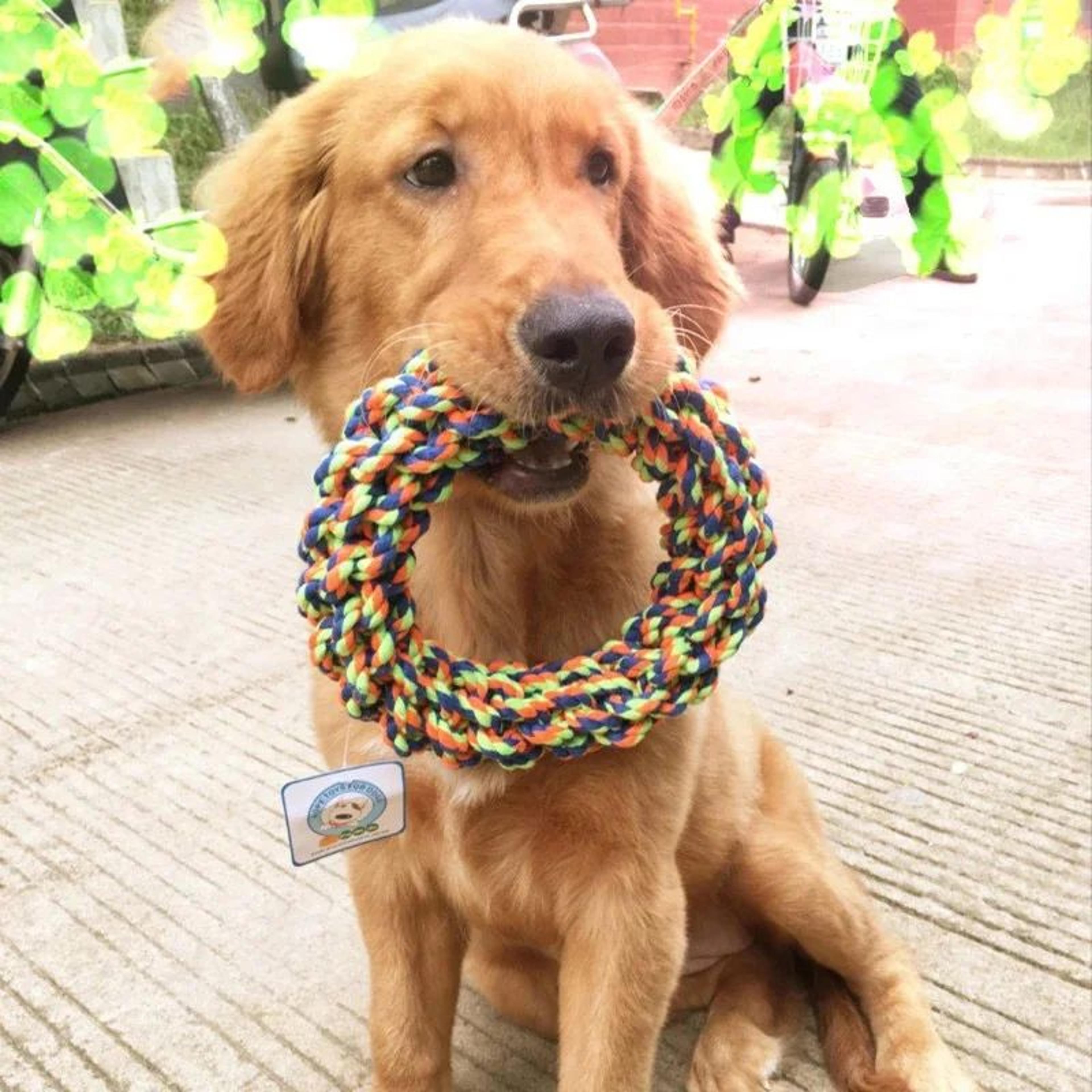 bite resistant cotton rope ring dog chew toy durable molar teething tug toy for medium large dogs teeth cleaning