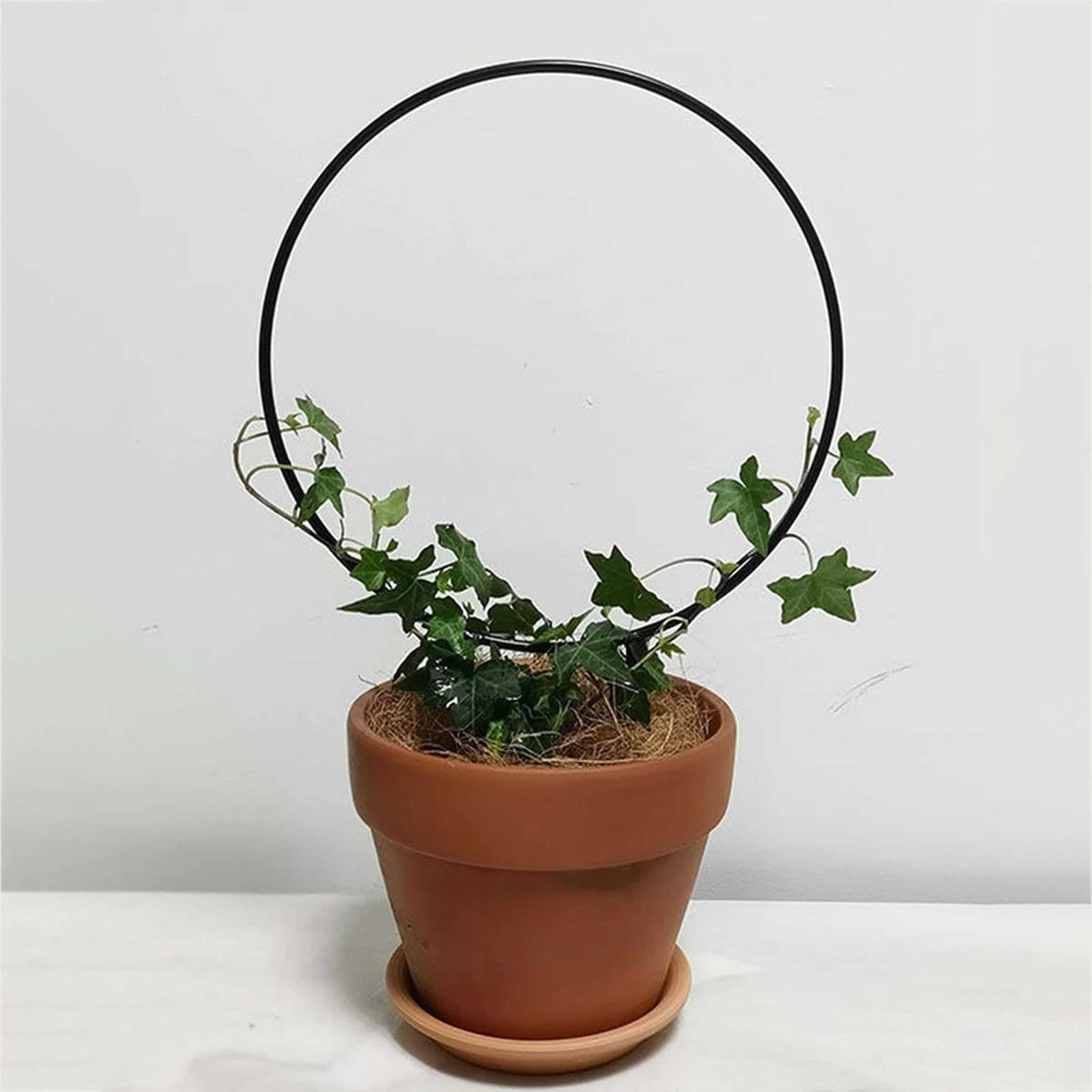 black iron garden trellis – rustproof climbing plant support for indoor & outdoor decor