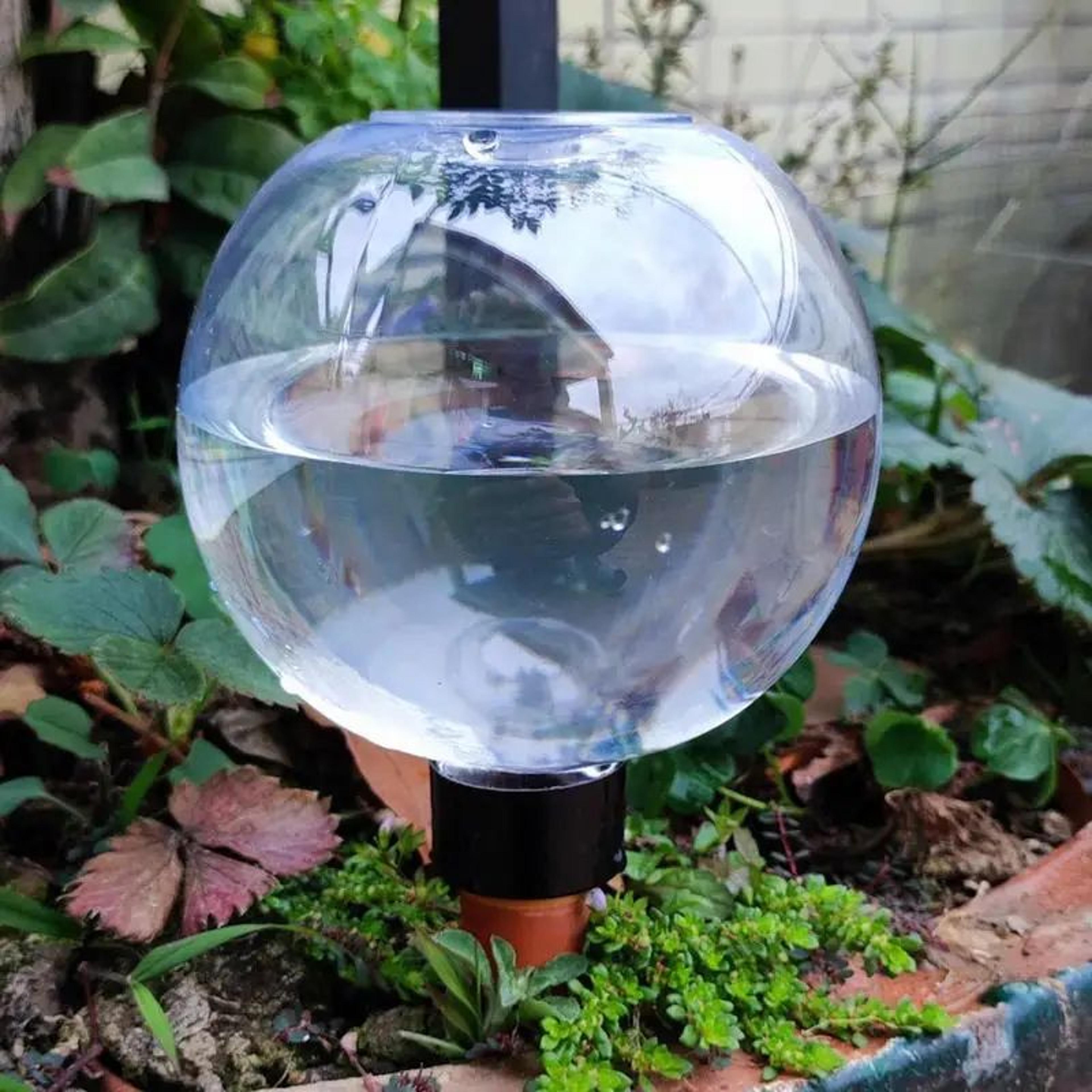 17 oz self-watering plant globes – automatic watering bulbs for indoor & outdoor plant care
