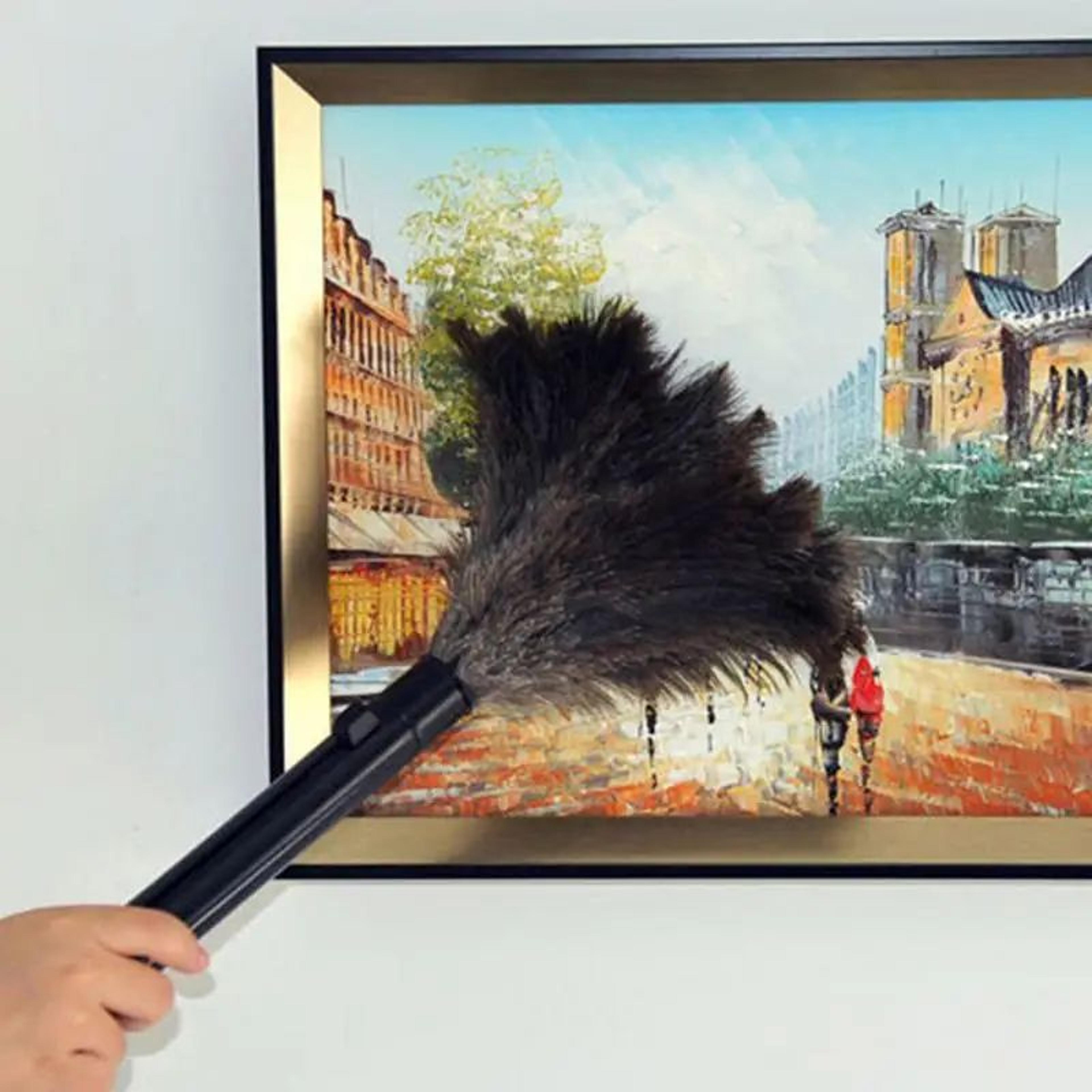 telescopic feather duster – anti-static extendable cleaning brush with plastic handle for home & car