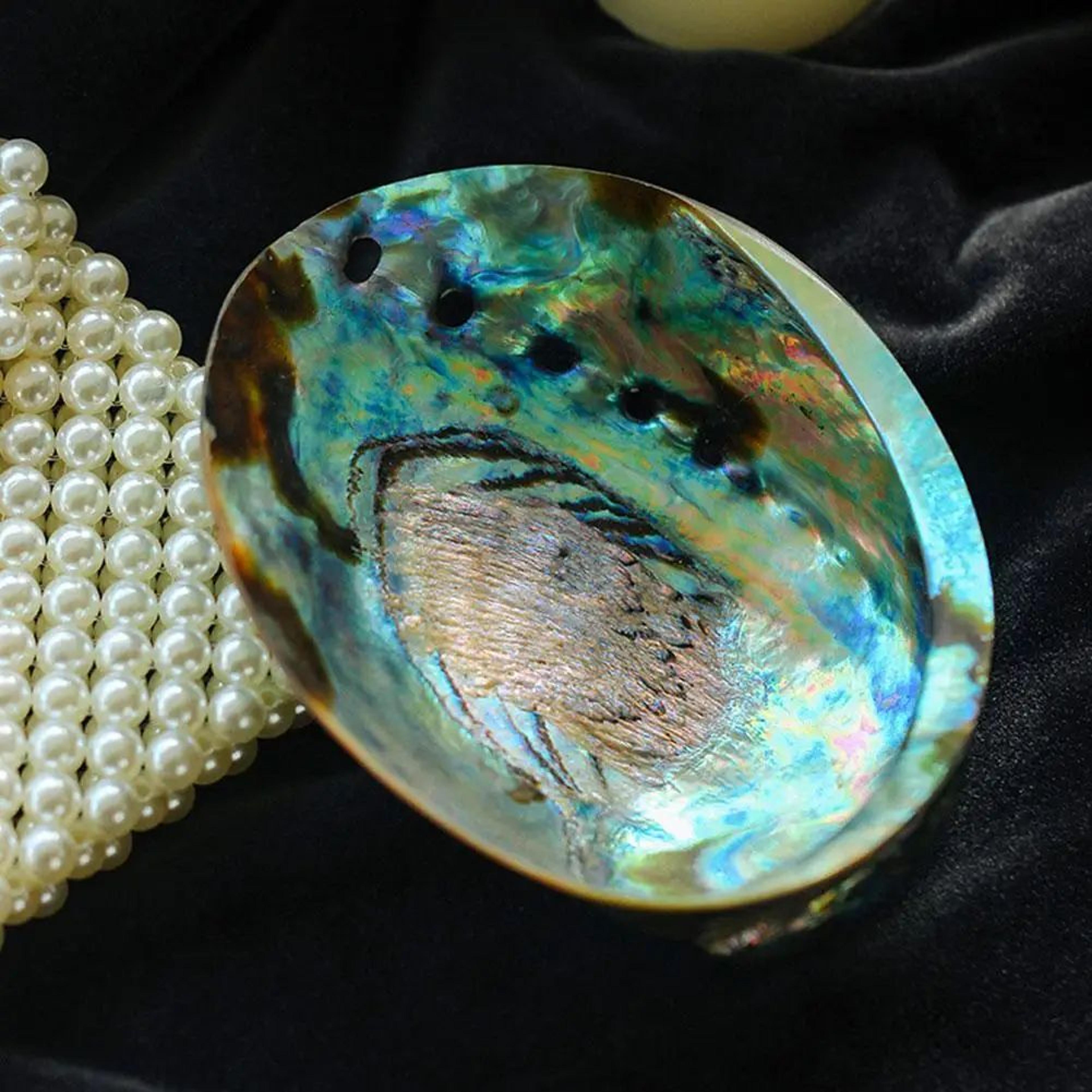 natural paua abalone shell smudge kit – polished sage bowl with tripod stand for home decor & ritual use