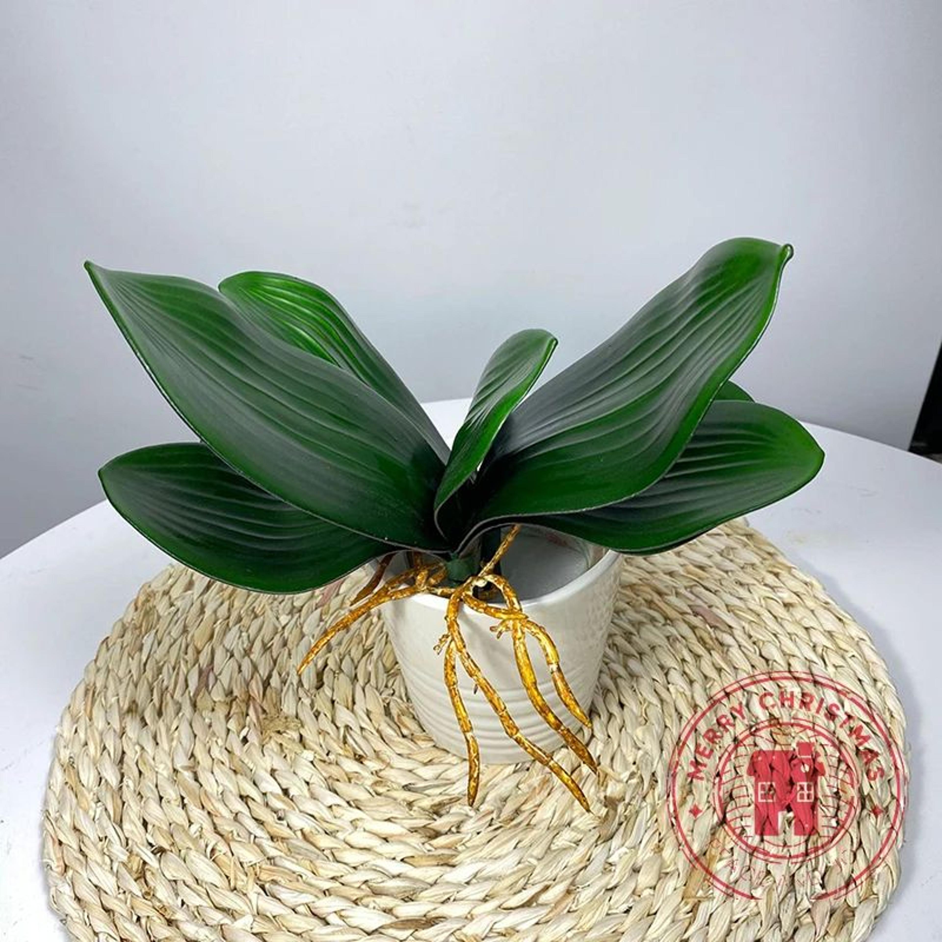 realistic phalaenopsis orchid leaves – artificial orchid foliage for elegant home & event decor