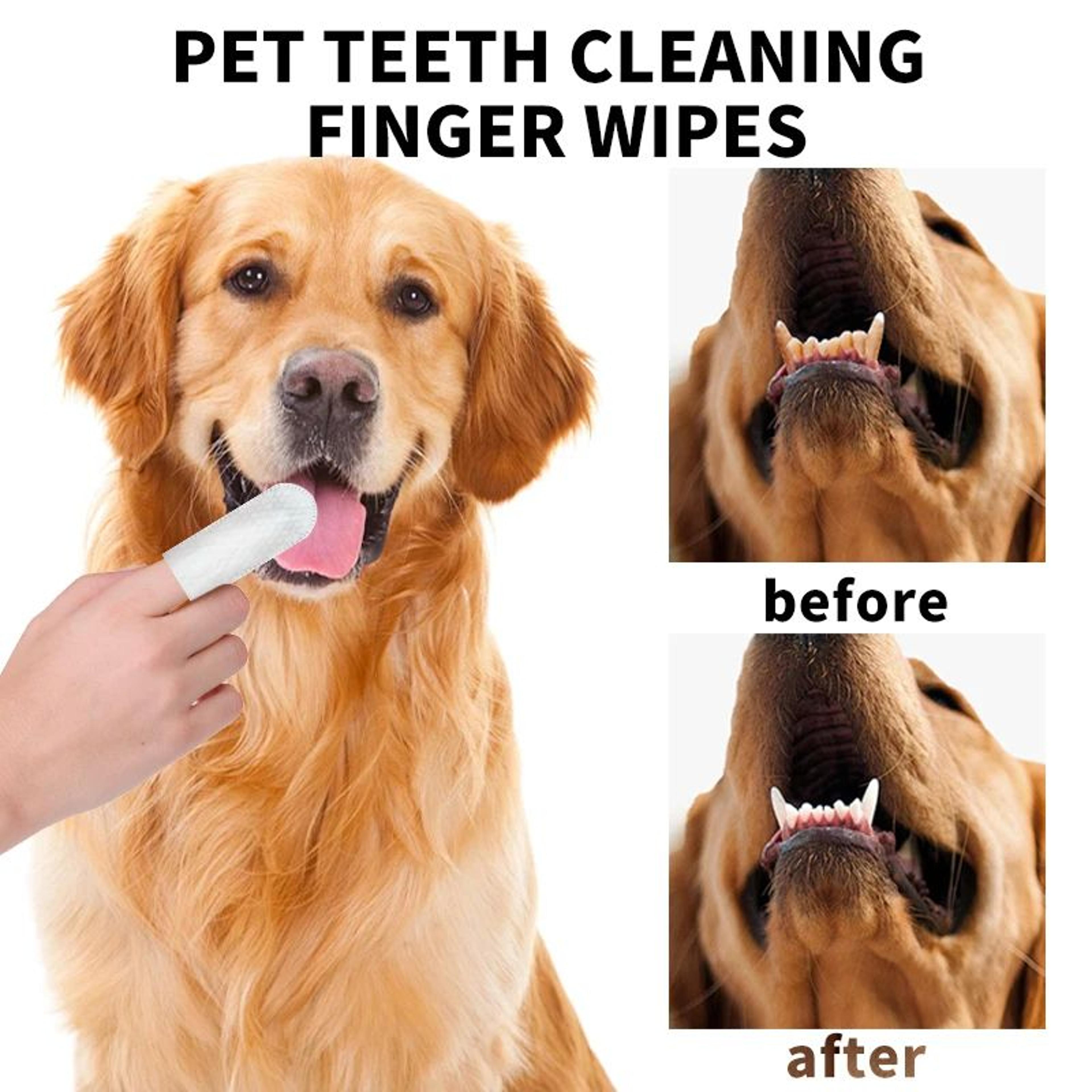 pet teeth cleaning wipes gloves – lick-safe dental finger wipes for dogs & cats fresh breath & oral care