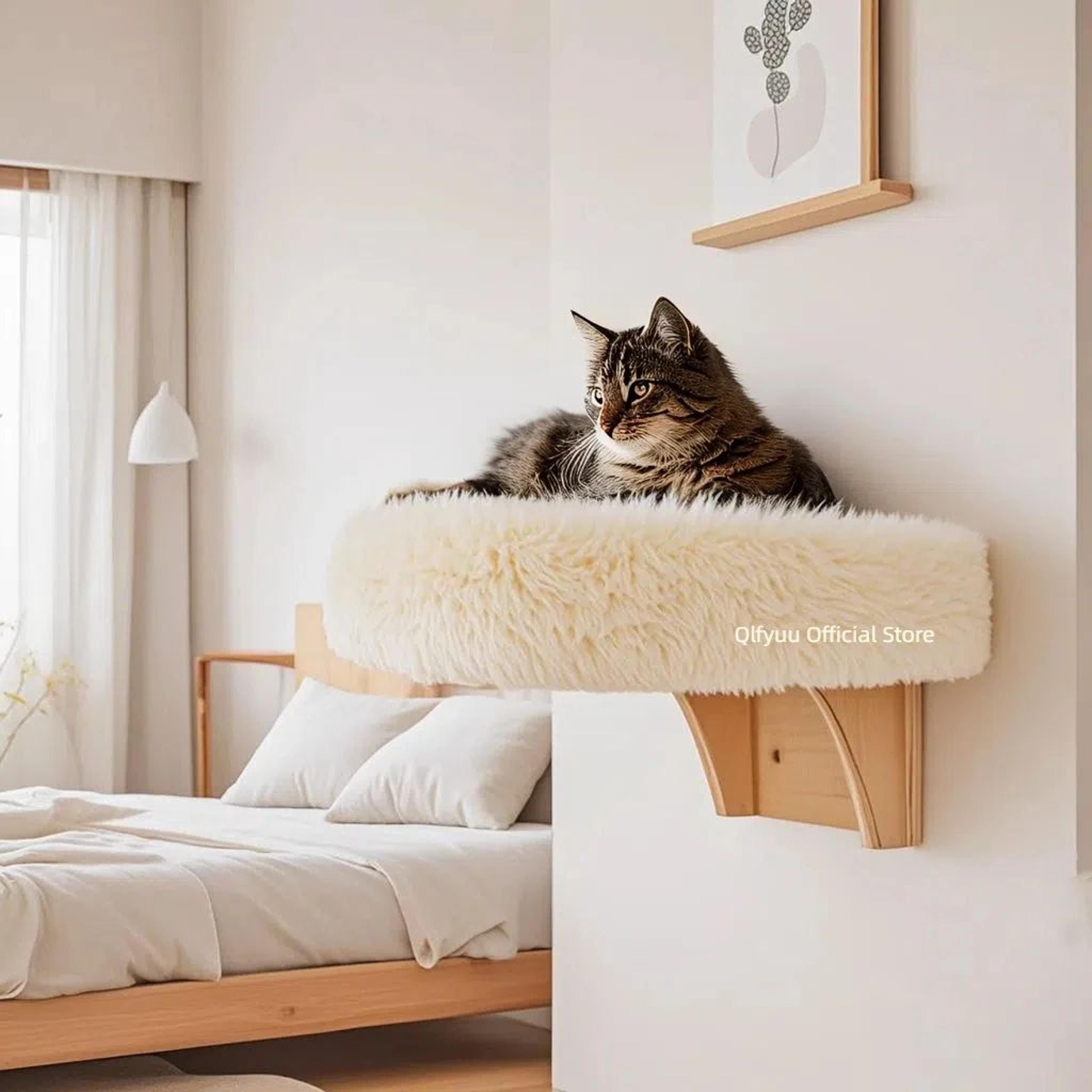 wall mounted wooden cat perch – elevated winter cat bed & space-saving cat furniture with support brackets