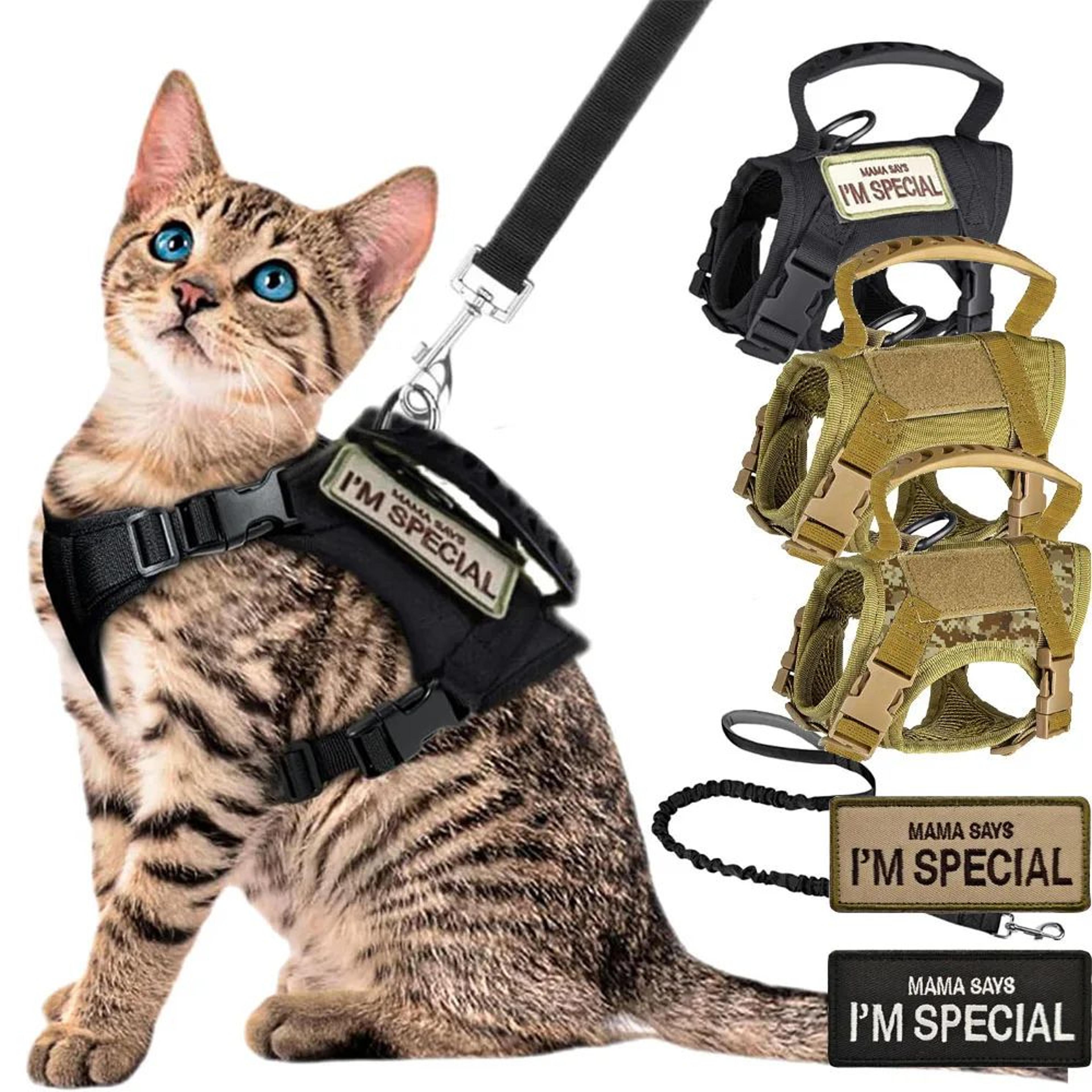 adjustable tactical cat & dog harness vest with handle – soft mesh no-pull training harness for large cats & puppies