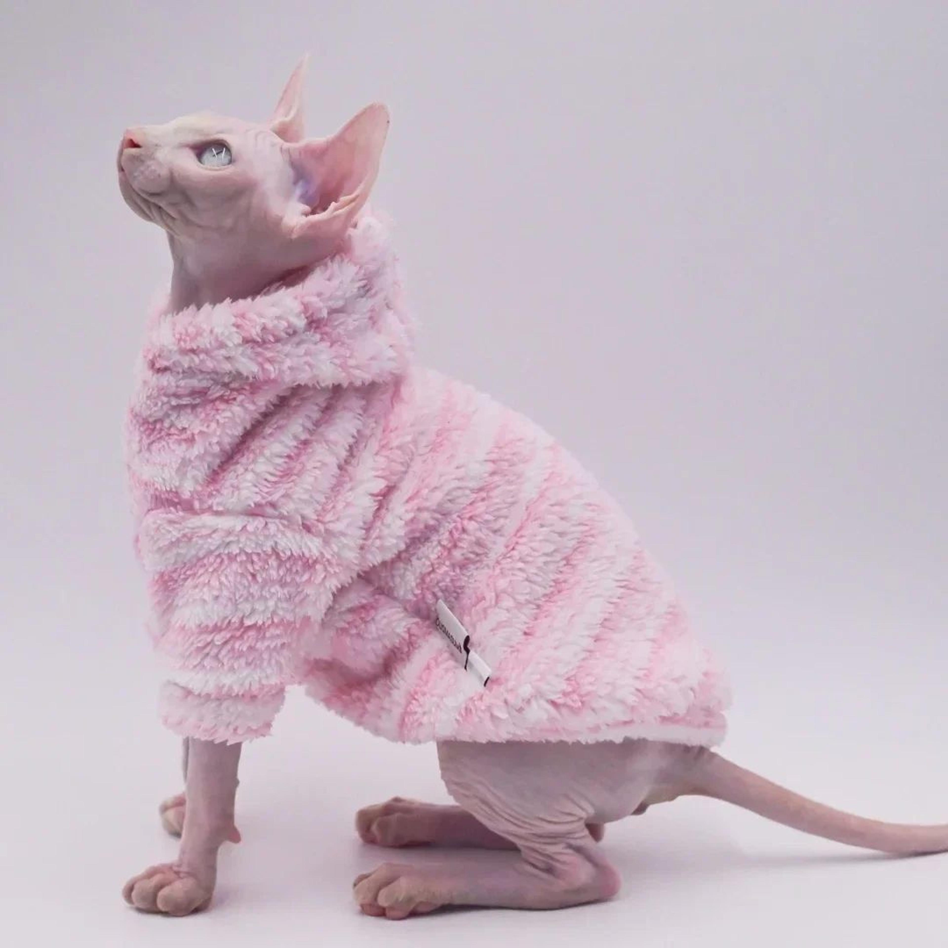 plush double-sided winter sphynx cat jacket – thick warm coat for hairless cats, sphynx & devon rex