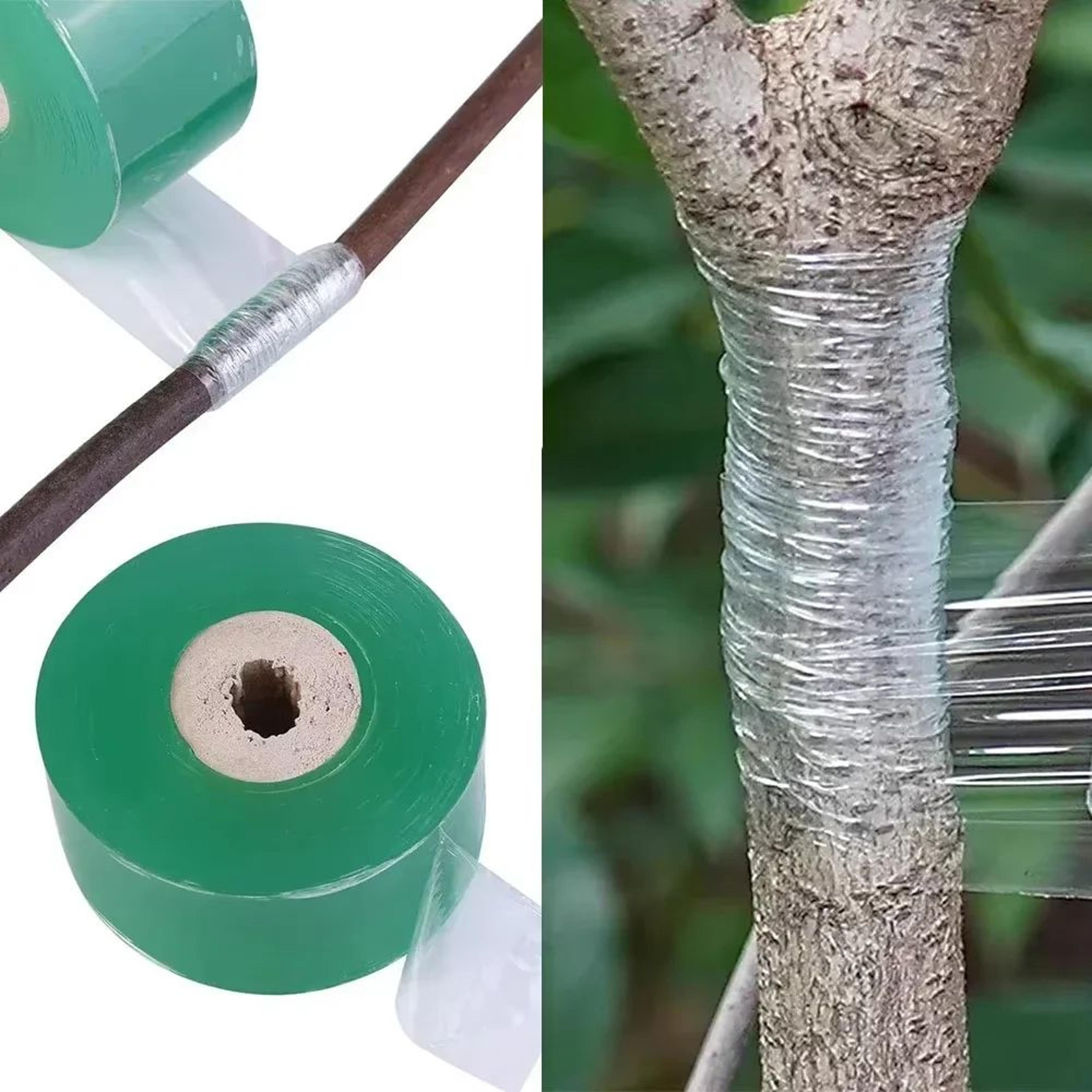 328 ft pe grafting tape roll – stretchable self-adhesive plant grafting film for trees, seedlings, vines & tomato plants
