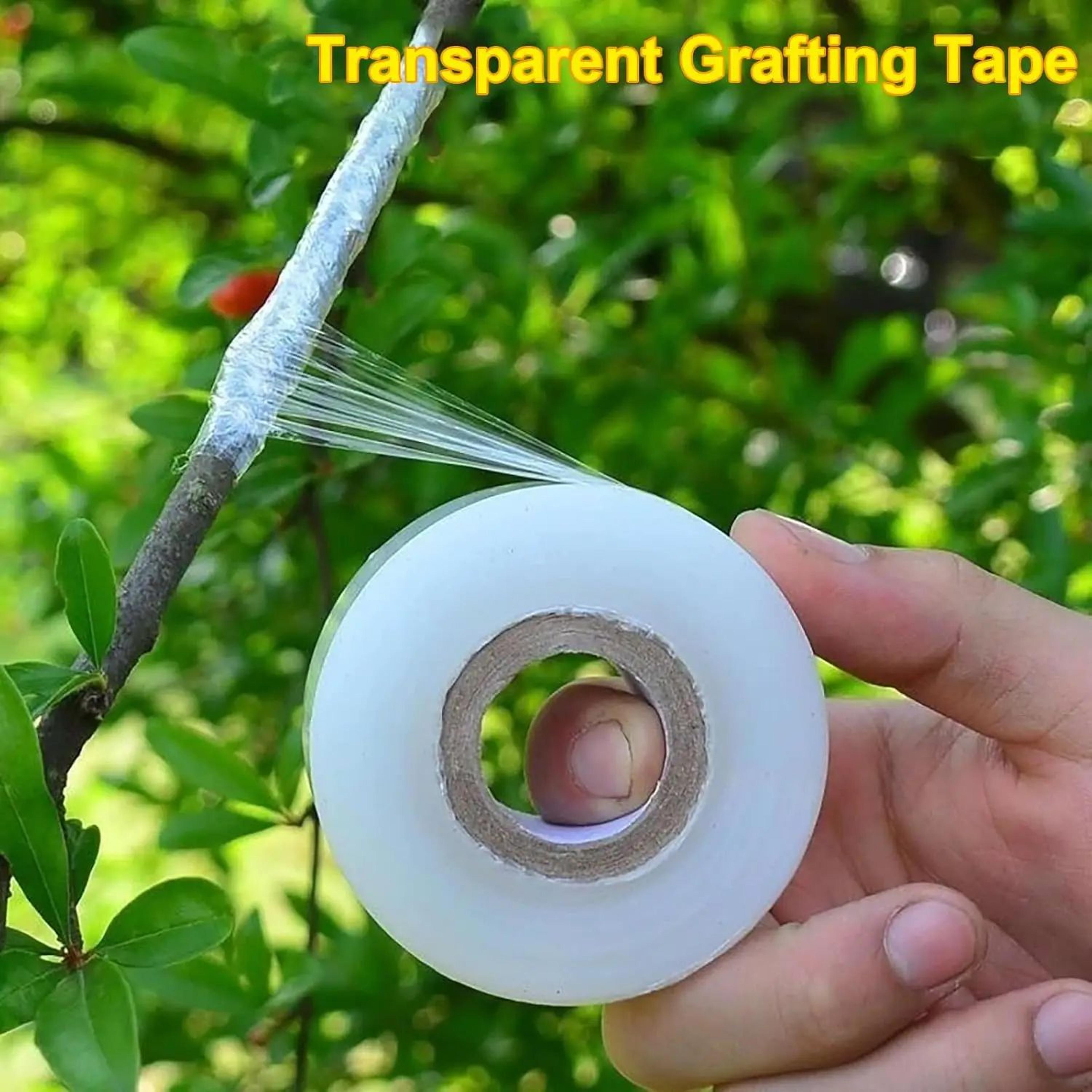 800m pe grafting tape film – self-adhesive stretch plant grafting tape for fruit trees, seedlings, vines, tomatoes & nur