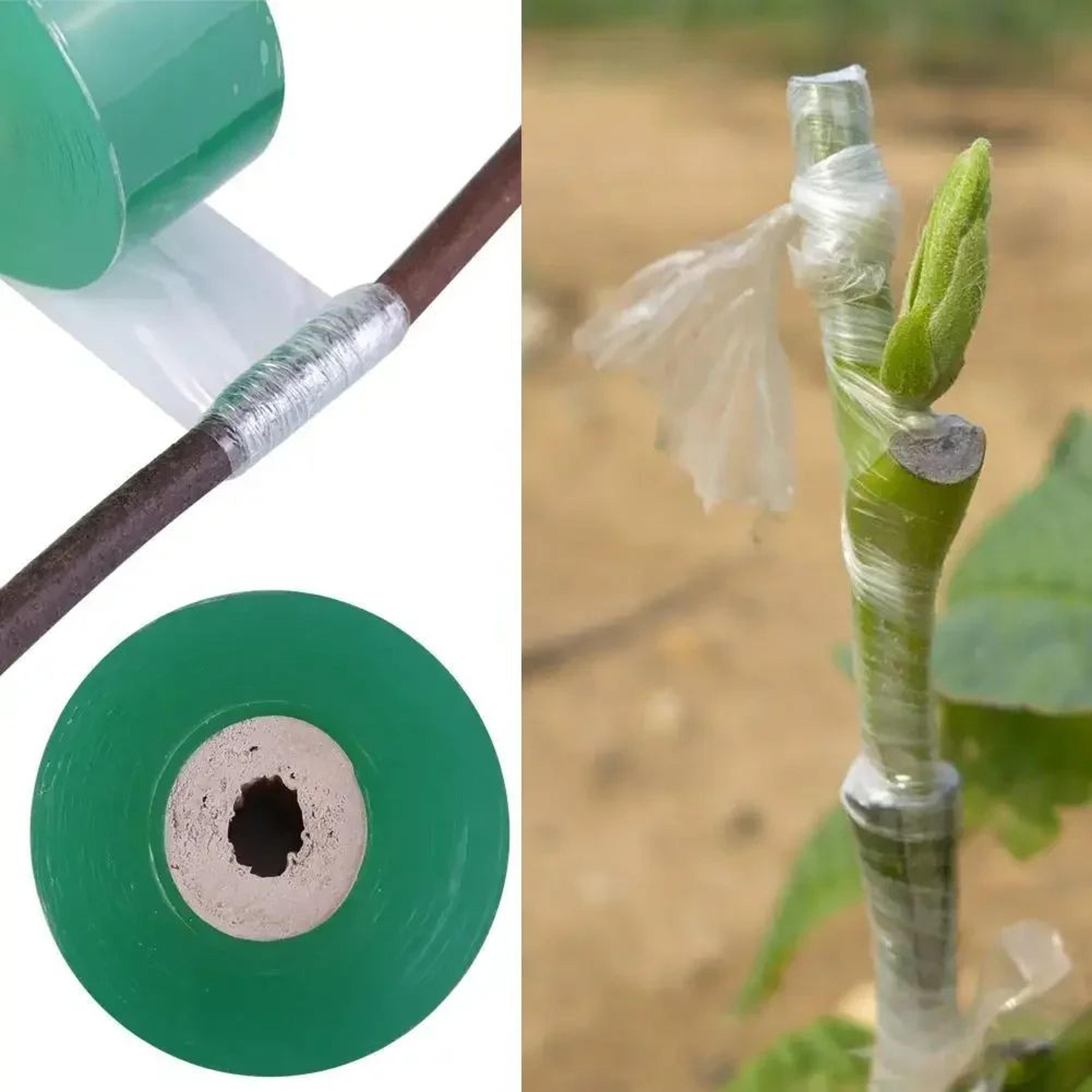 self-adhesive pe grafting tape roll – stretchable degradable plant grafting film for nursery, garden & tree support